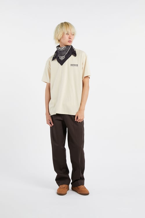 DICKIES Pantalon Marron