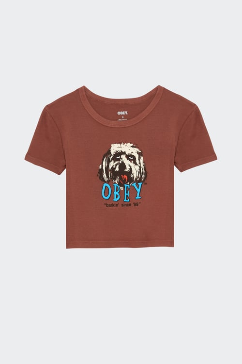 OBEY T-shirt Marron