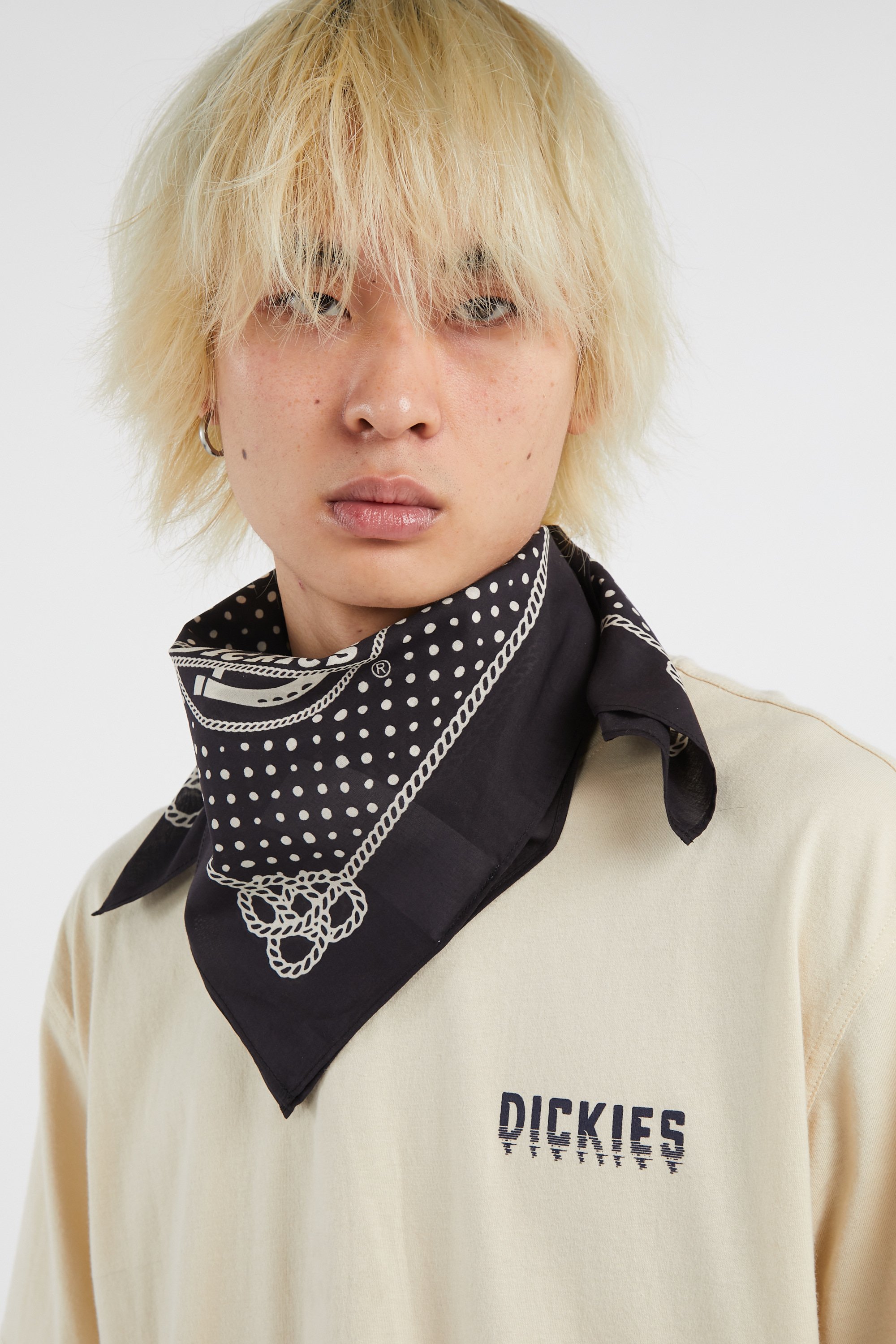 Monyday scarf DICKIES Black