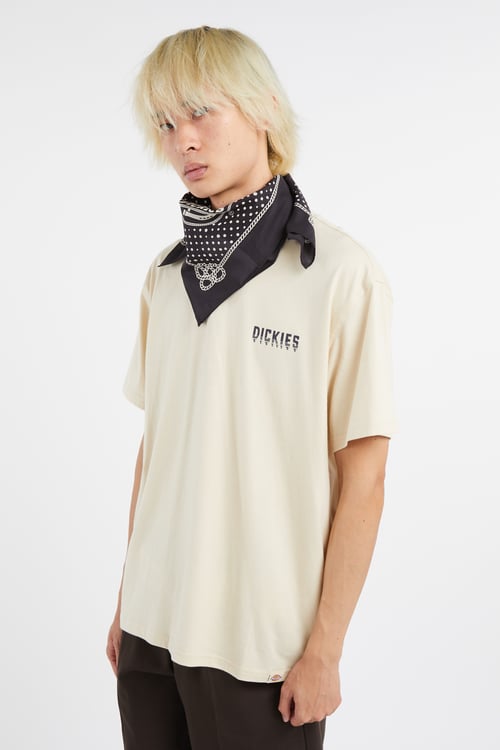 DICKIES T-shirt Beige