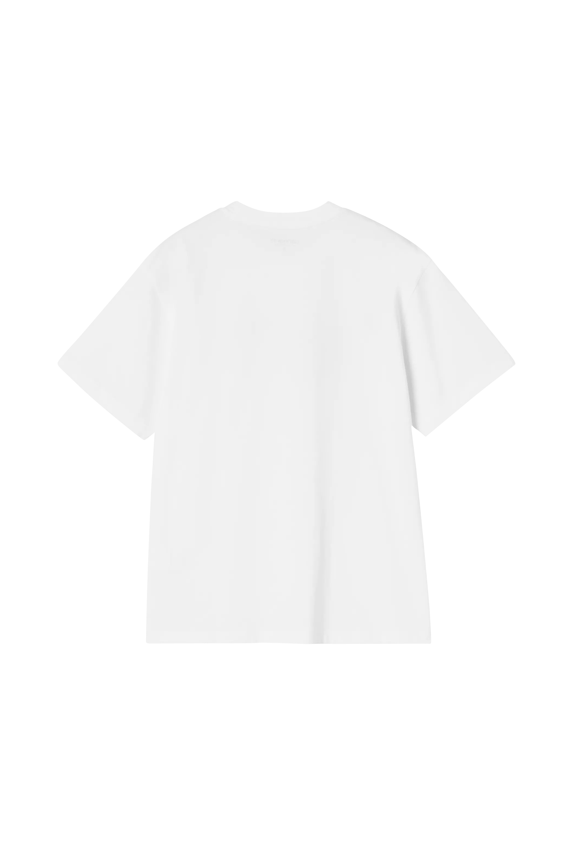 Round neck organic cotton t-shirt | White CARHARTT WIP Women