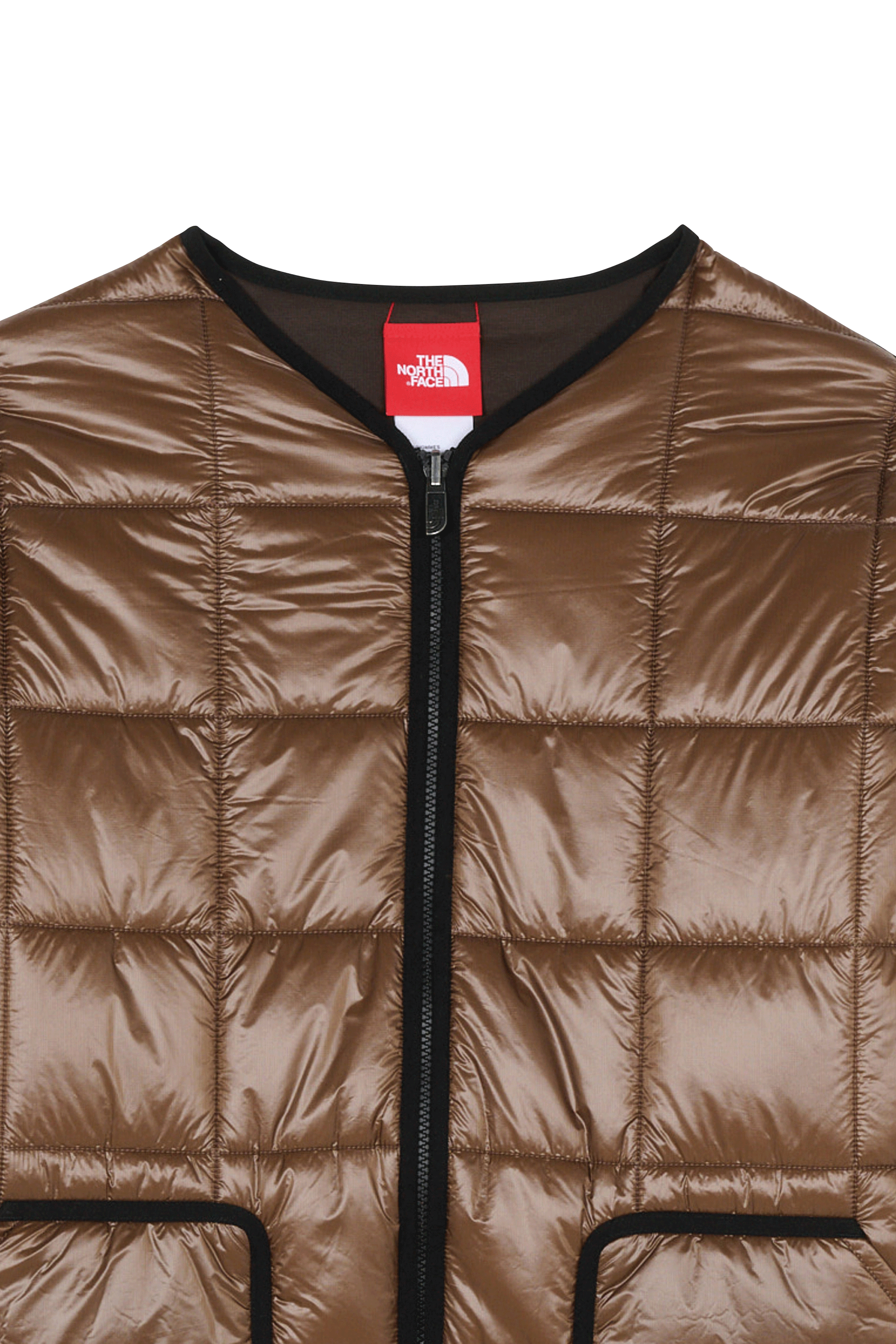 Veste | Marron THE NORTH FACE Homme