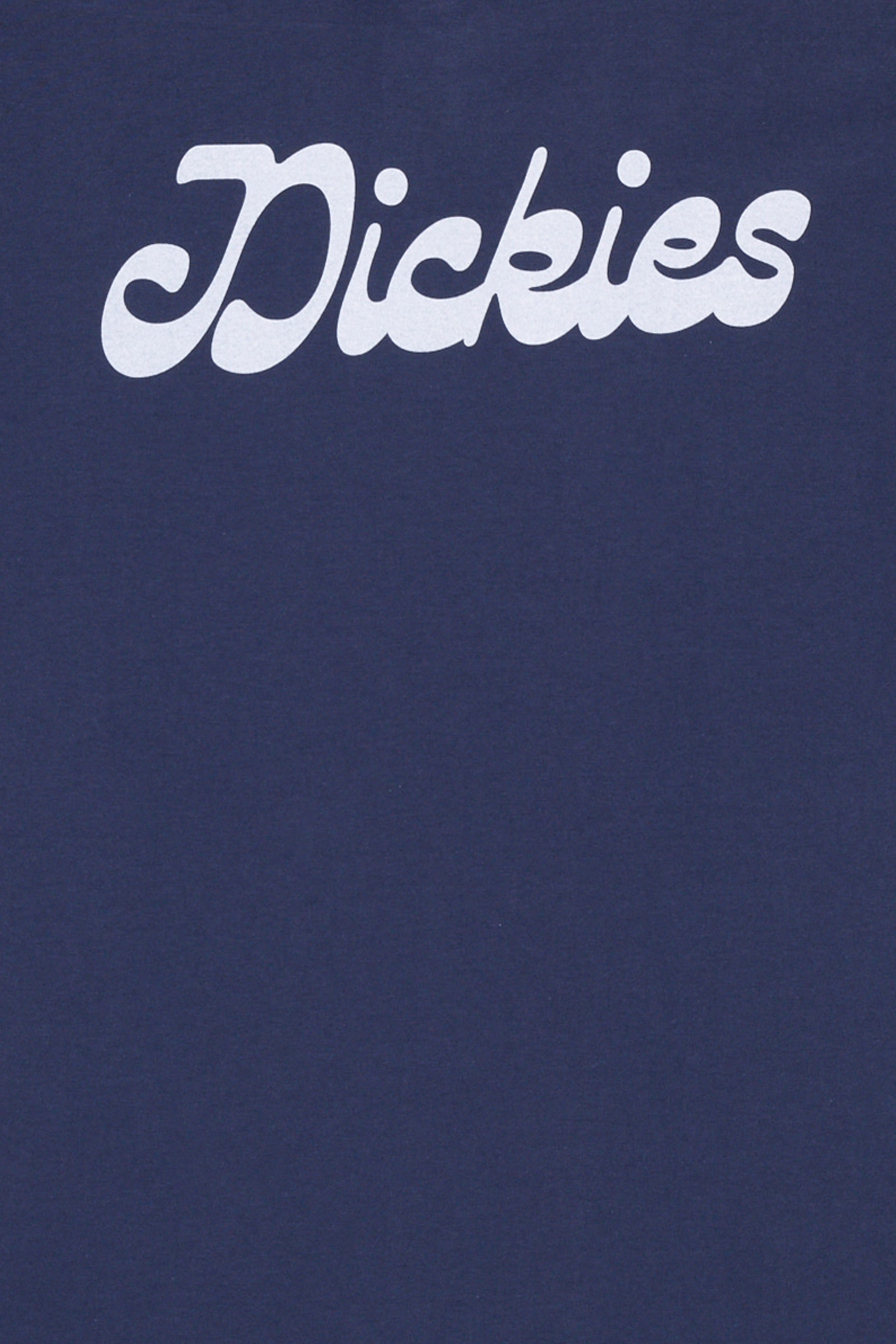 T-shirt | Bleu DICKIES Homme