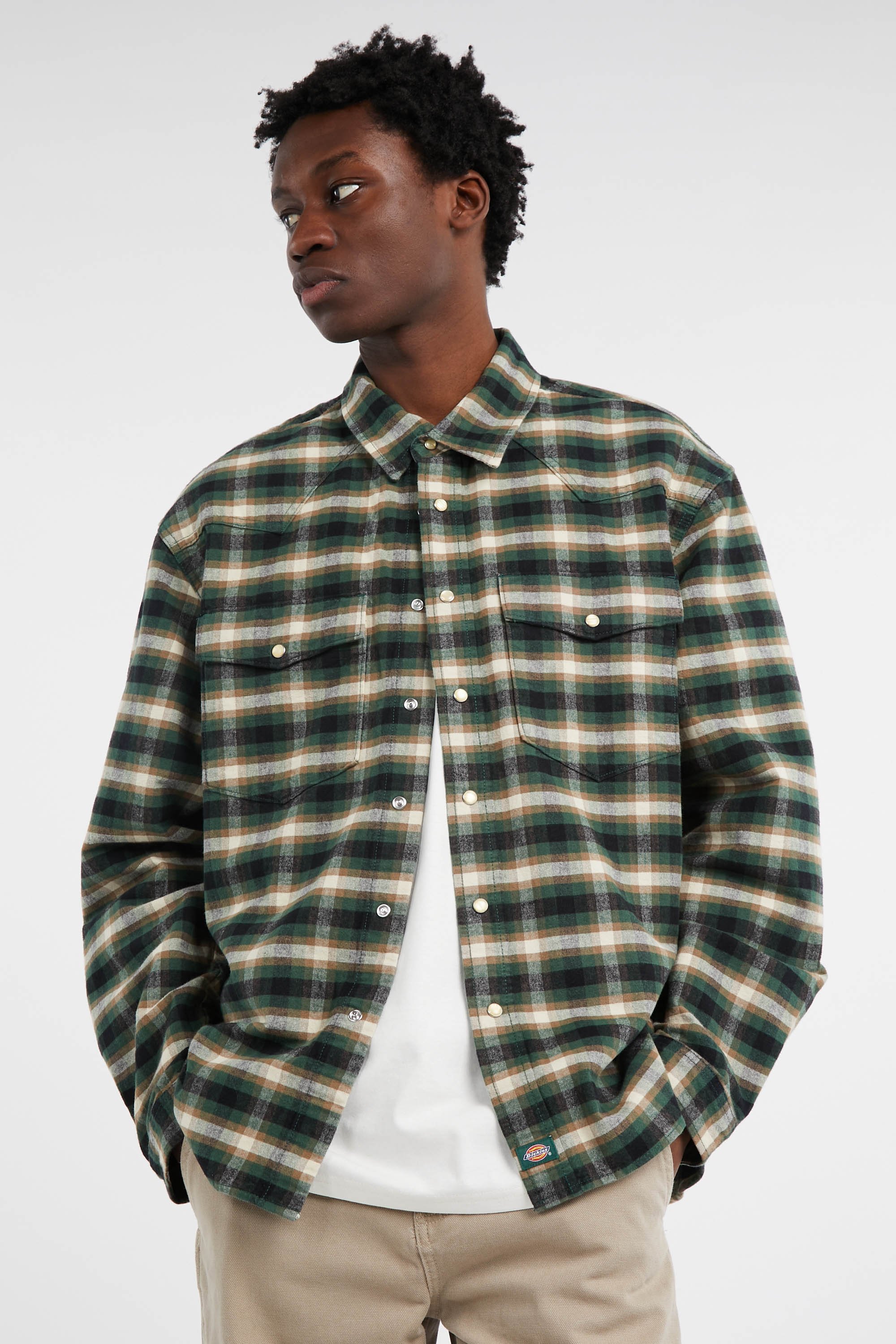 Shirt | Green by DICKIES Shirt Green
