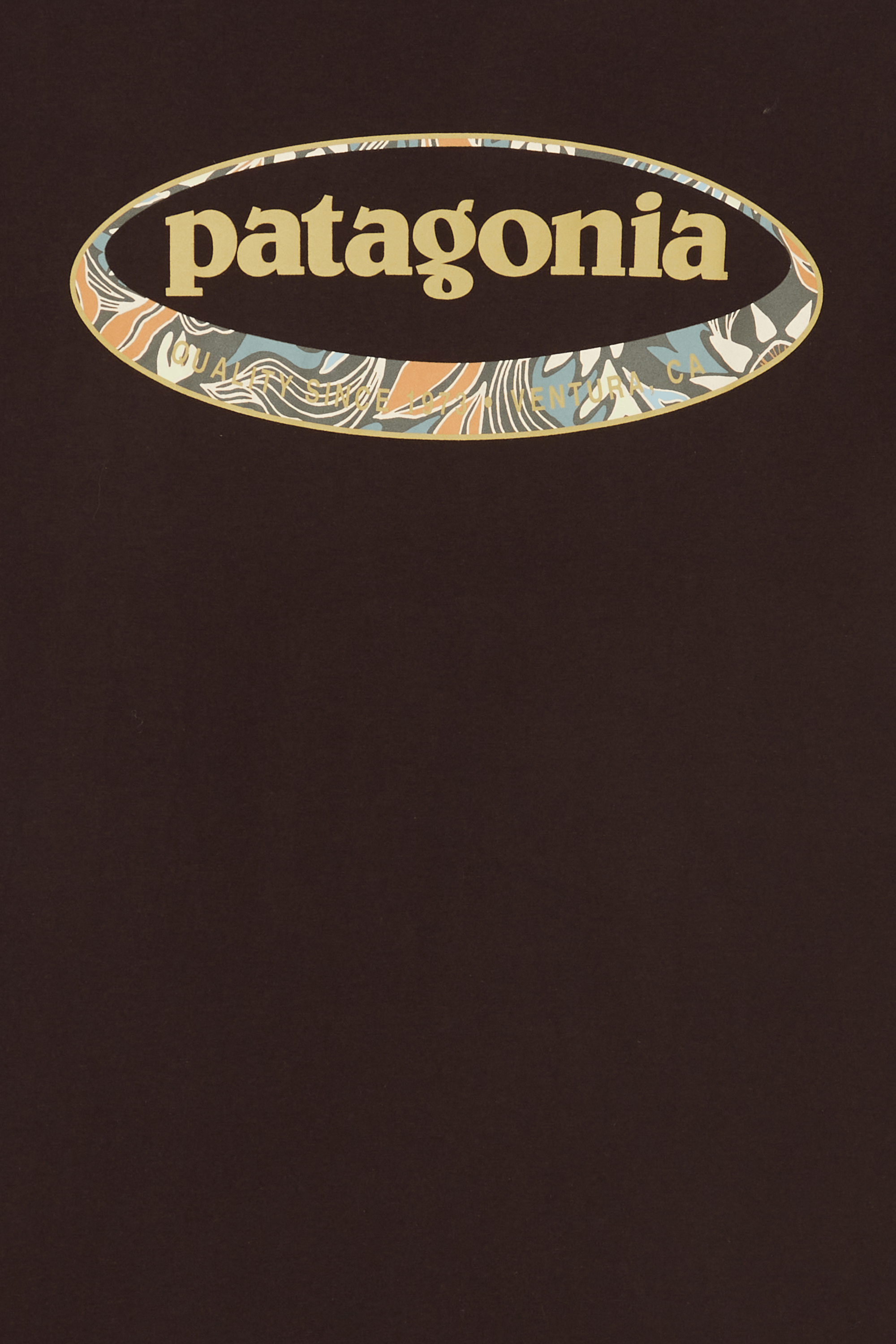 T-shirt | Marron PATAGONIA Homme