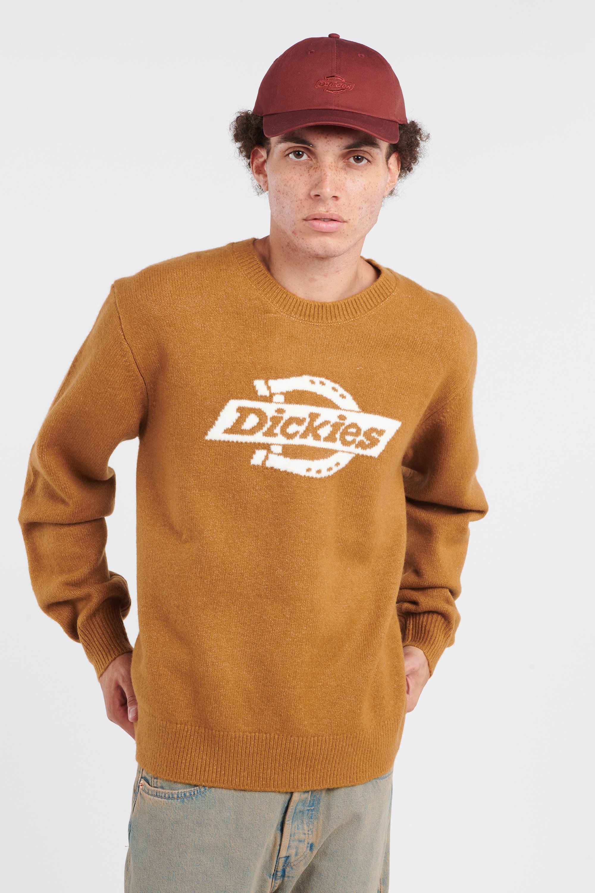 Sweater | Brown by DICKIES Sweater Brown