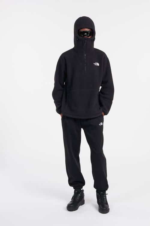THE NORTH FACE Hoodie Noir