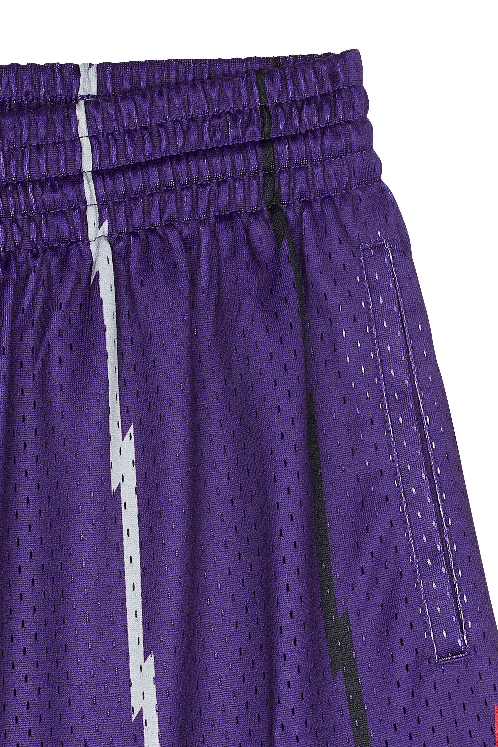 Shorts Purple