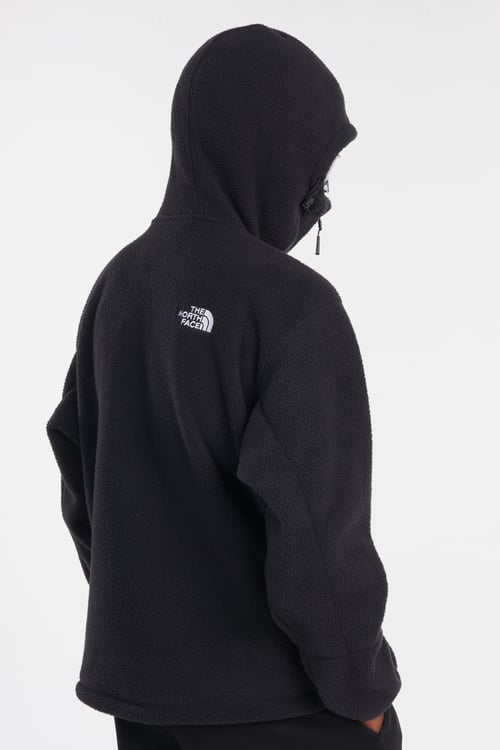 THE NORTH FACE Hoodie Noir