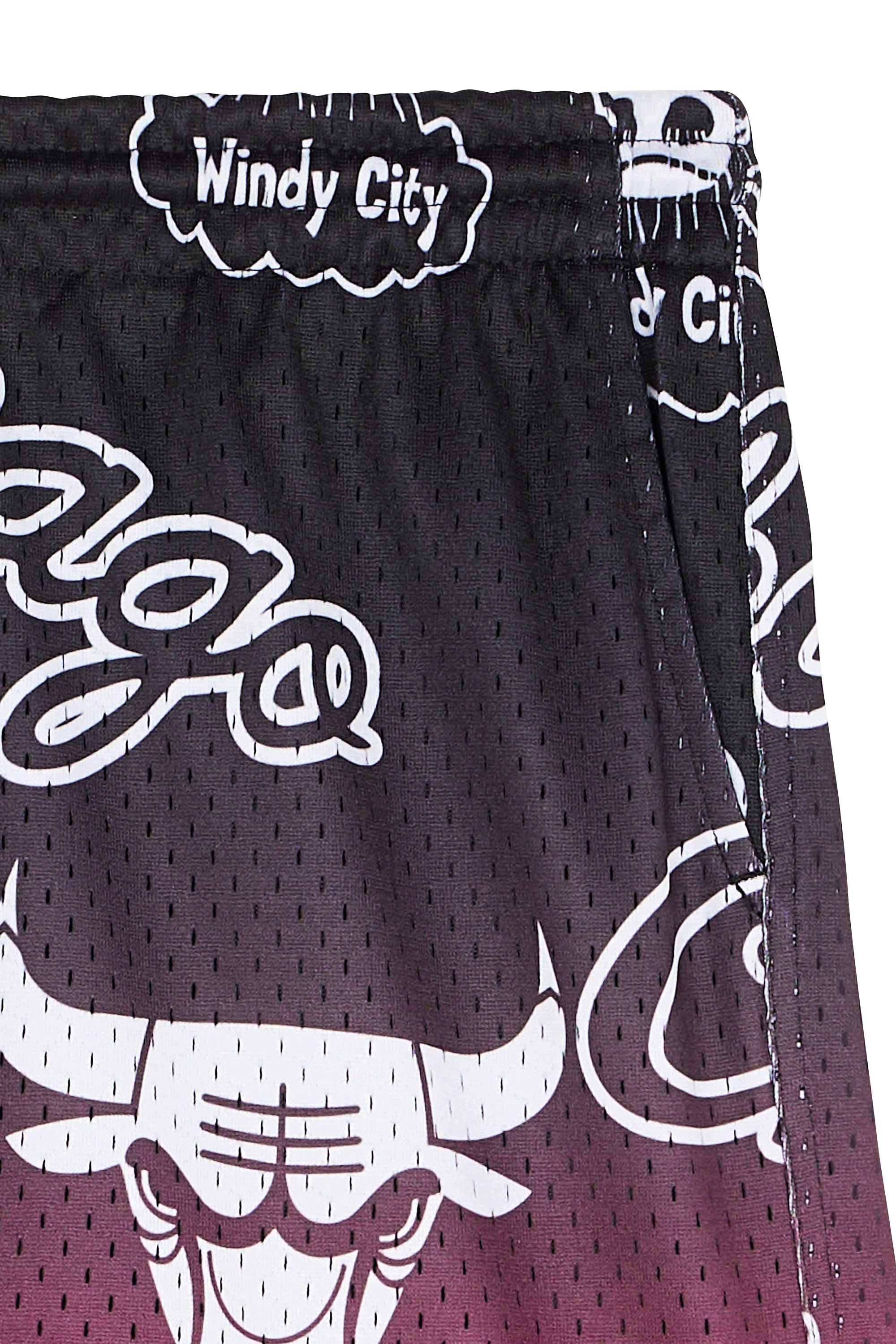 Shorts MITCHELL & NESS Multicolored