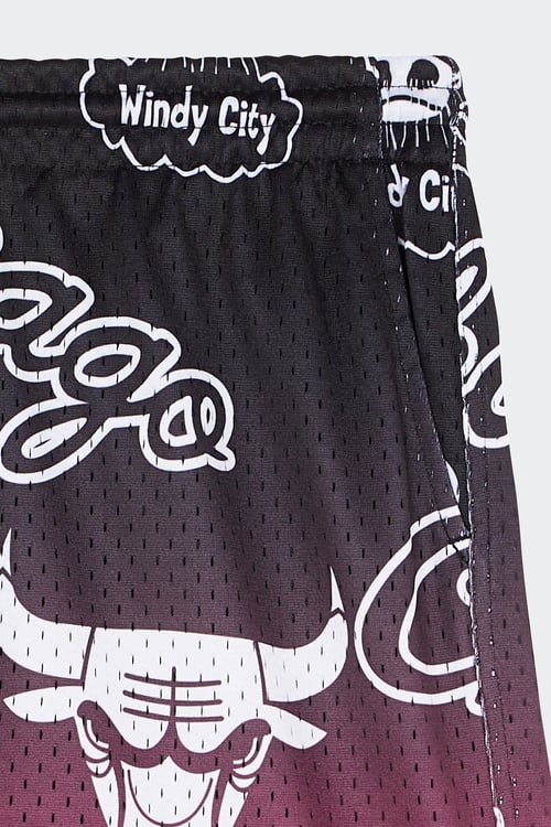 MITCHELL & NESS Short Multicolore