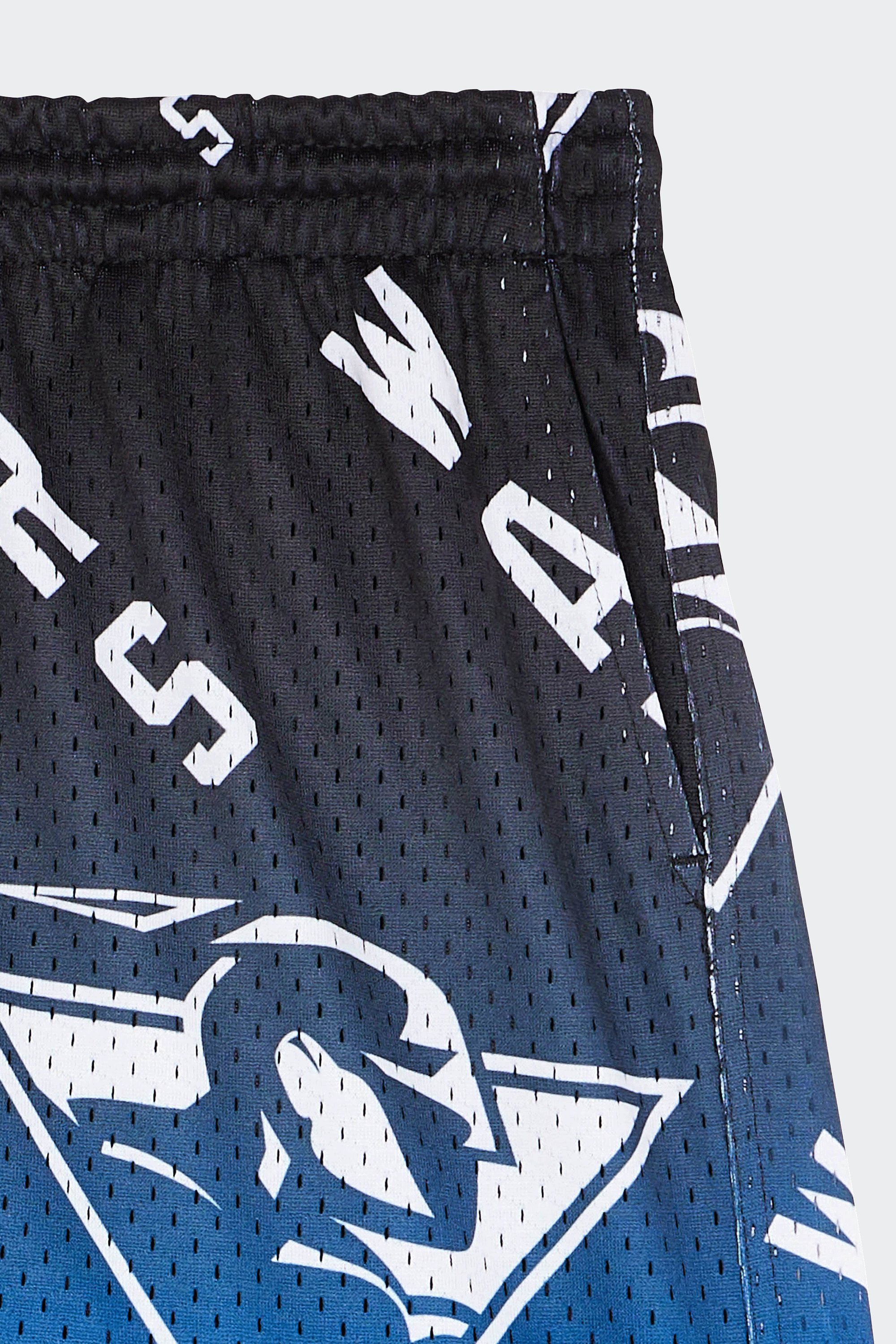 Shorts | Blue by MITCHELL & NESS Shorts Blue