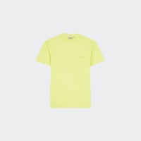 T-shirt Duster Script Arctic lime