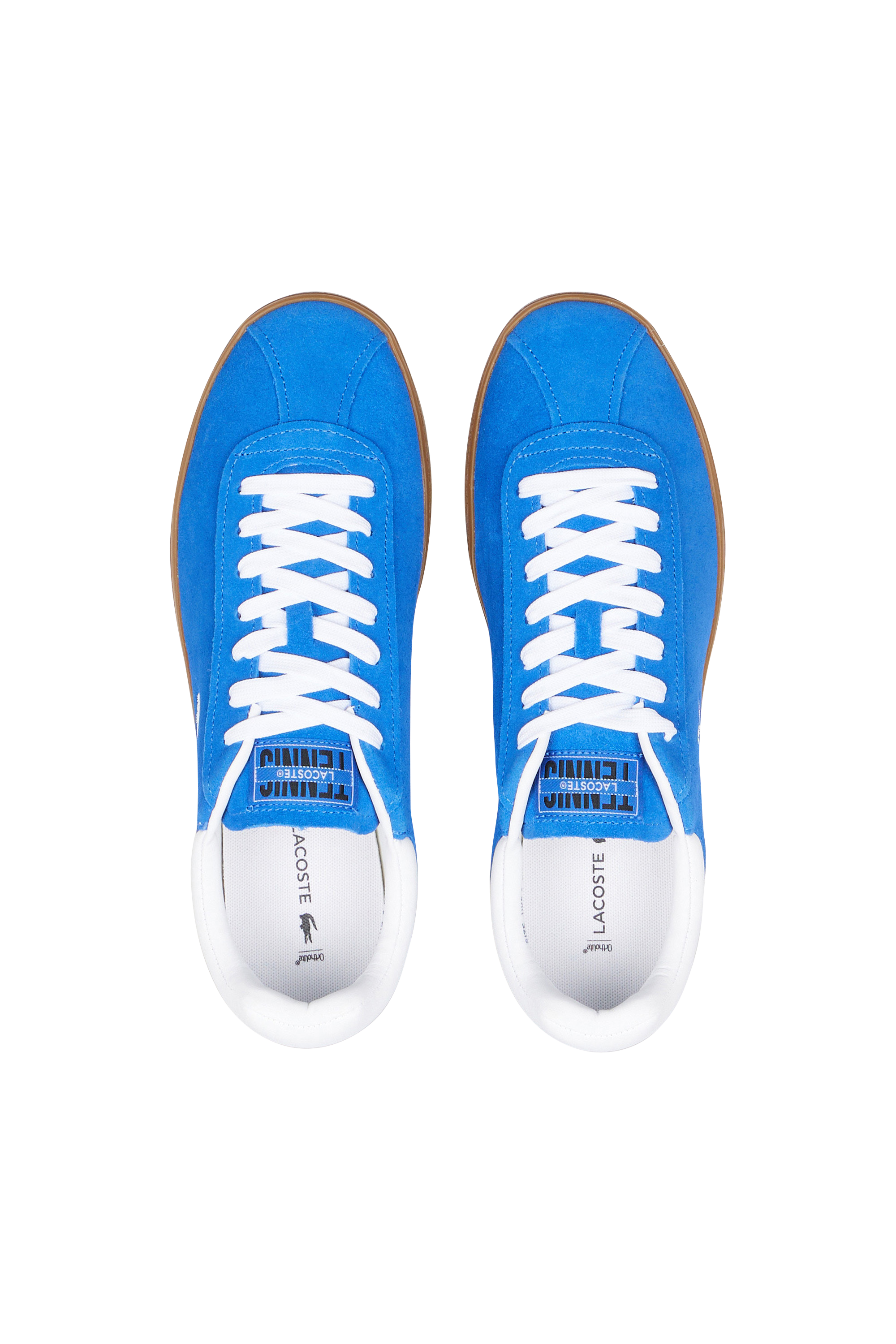 Baskets LACOSTE Bleu