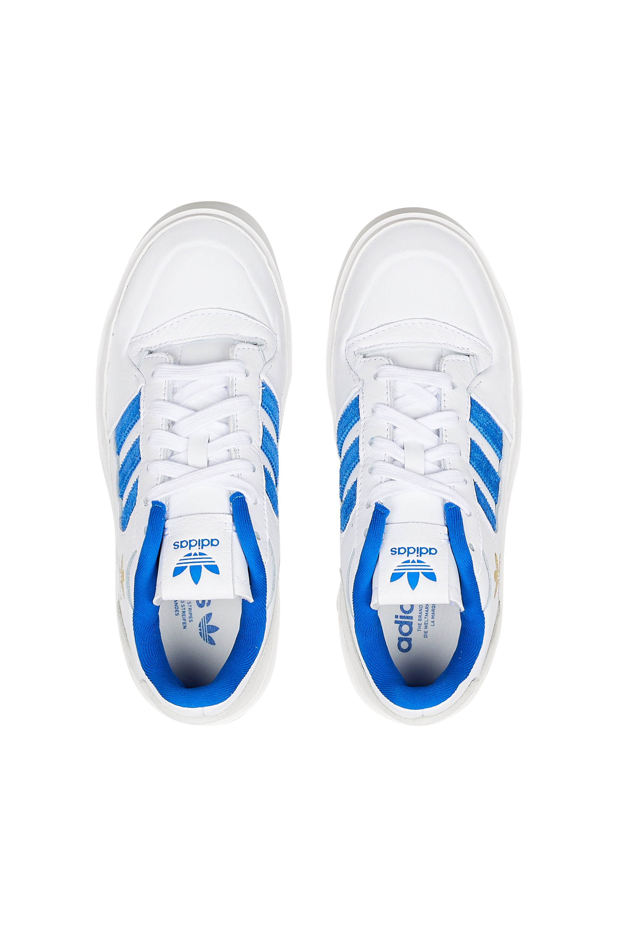Baskets basses Blanc