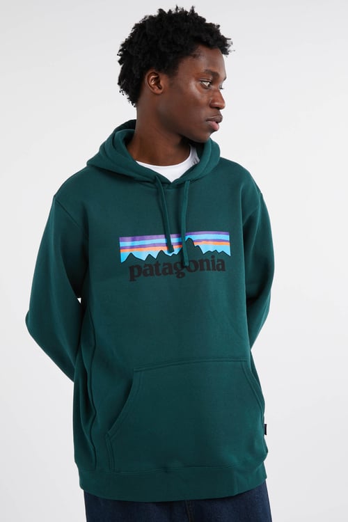 PATAGONIA Hoodie Vert