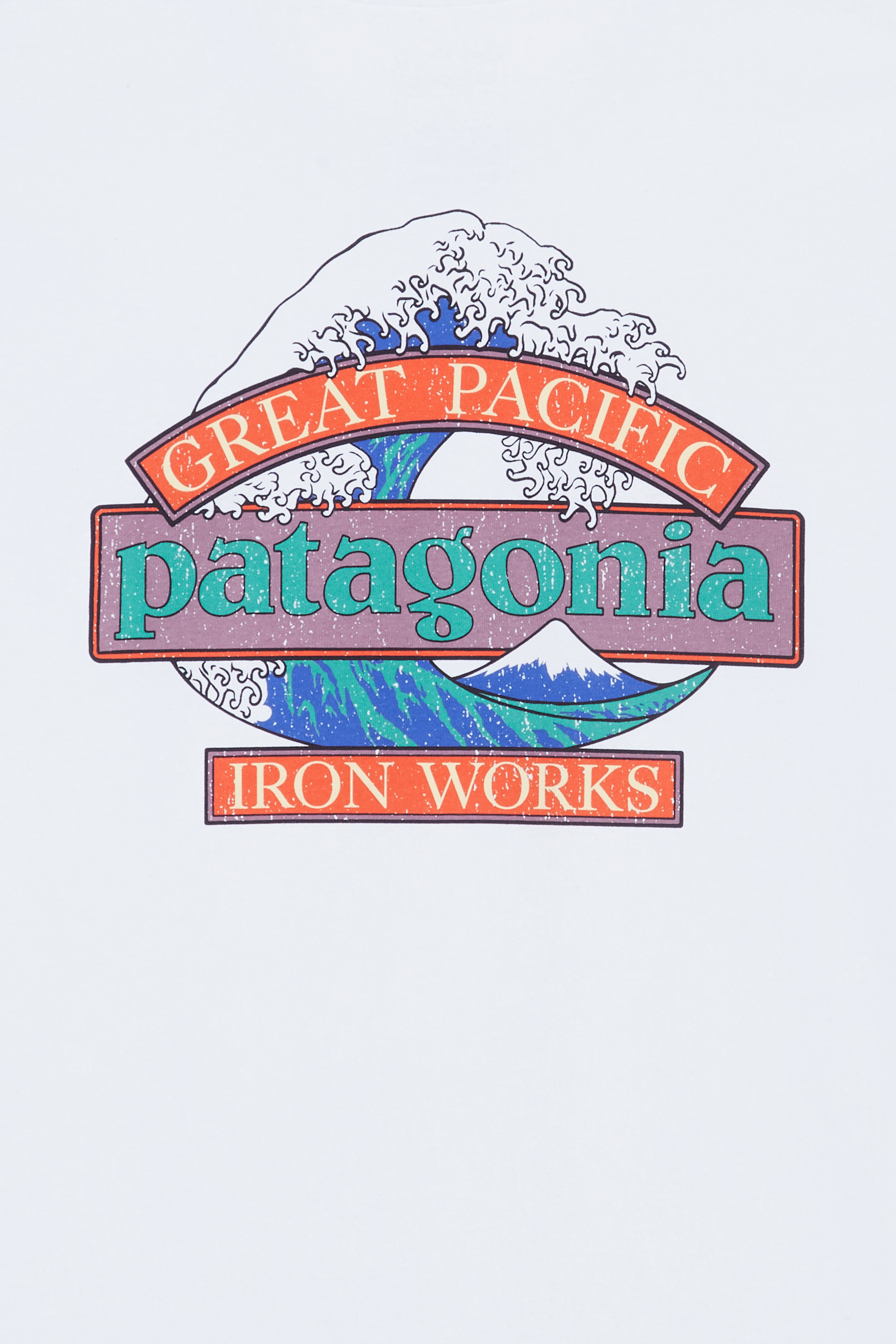 T-shirt | Blanc PATAGONIA Homme