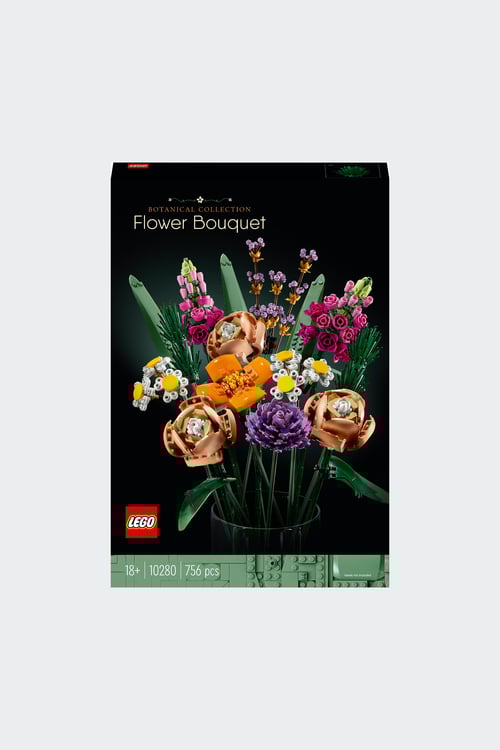 LEGO Jeu Multicolore
