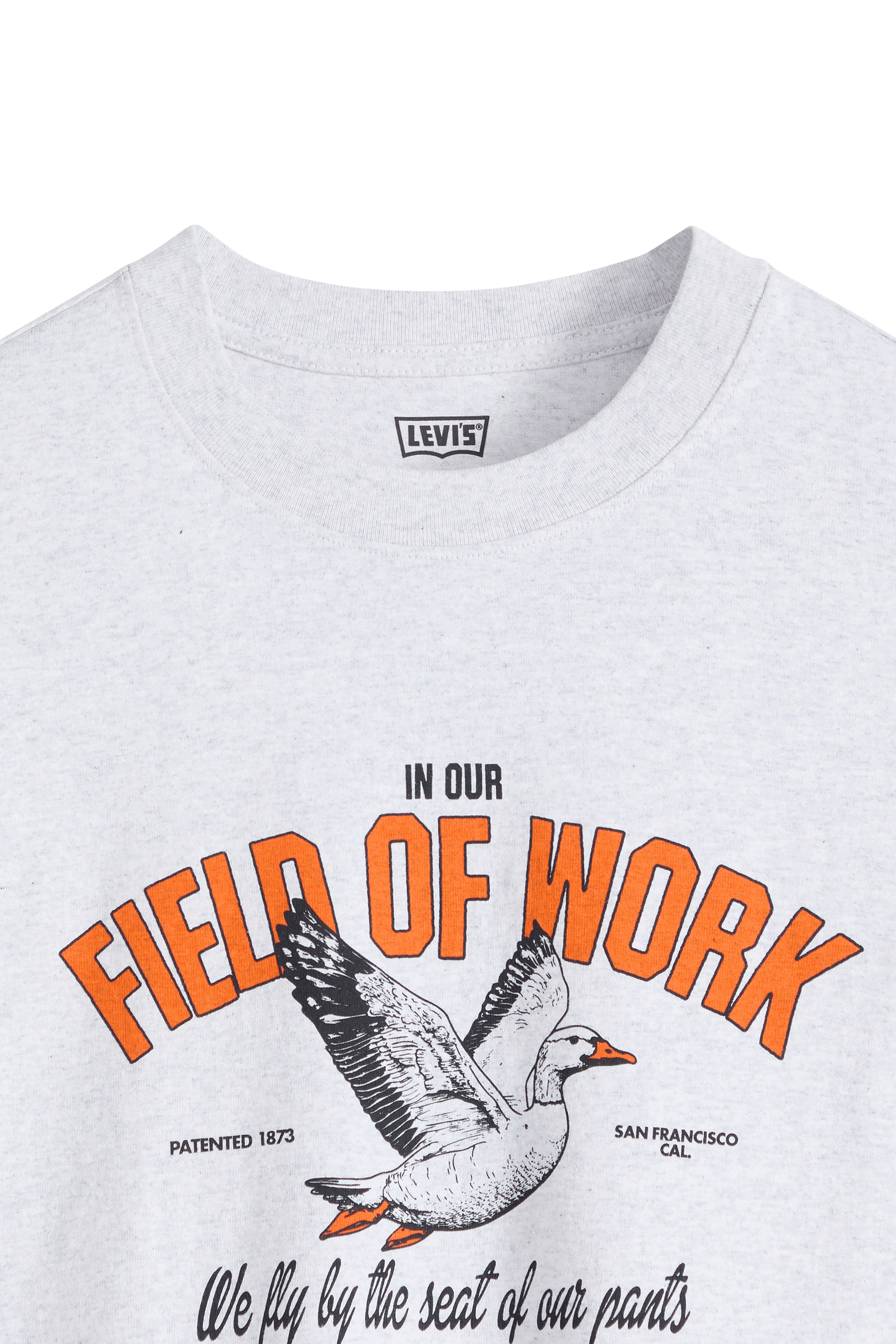 T-shirt | Gris LEVI'S Homme