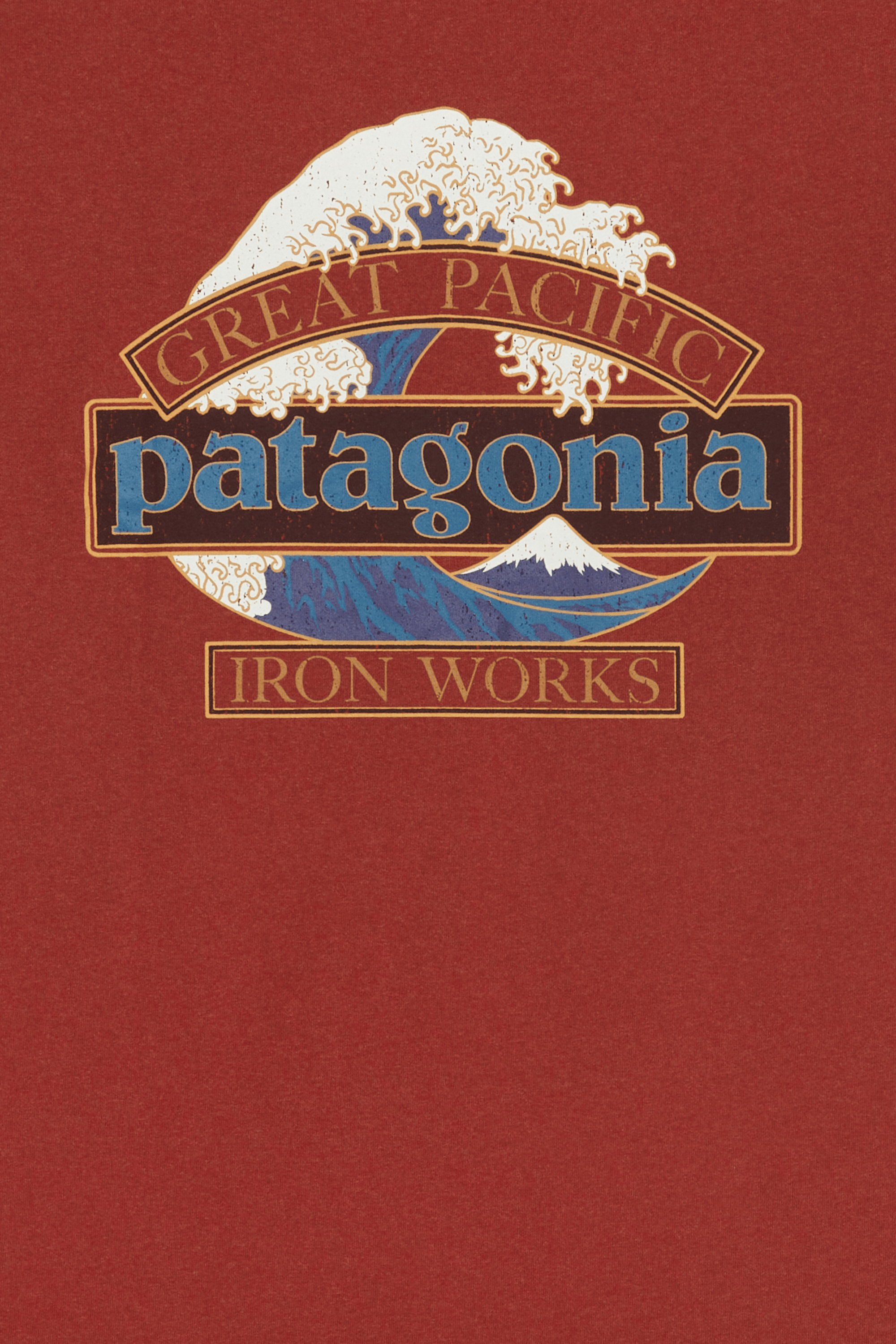 T-shirt | Rouge PATAGONIA Homme