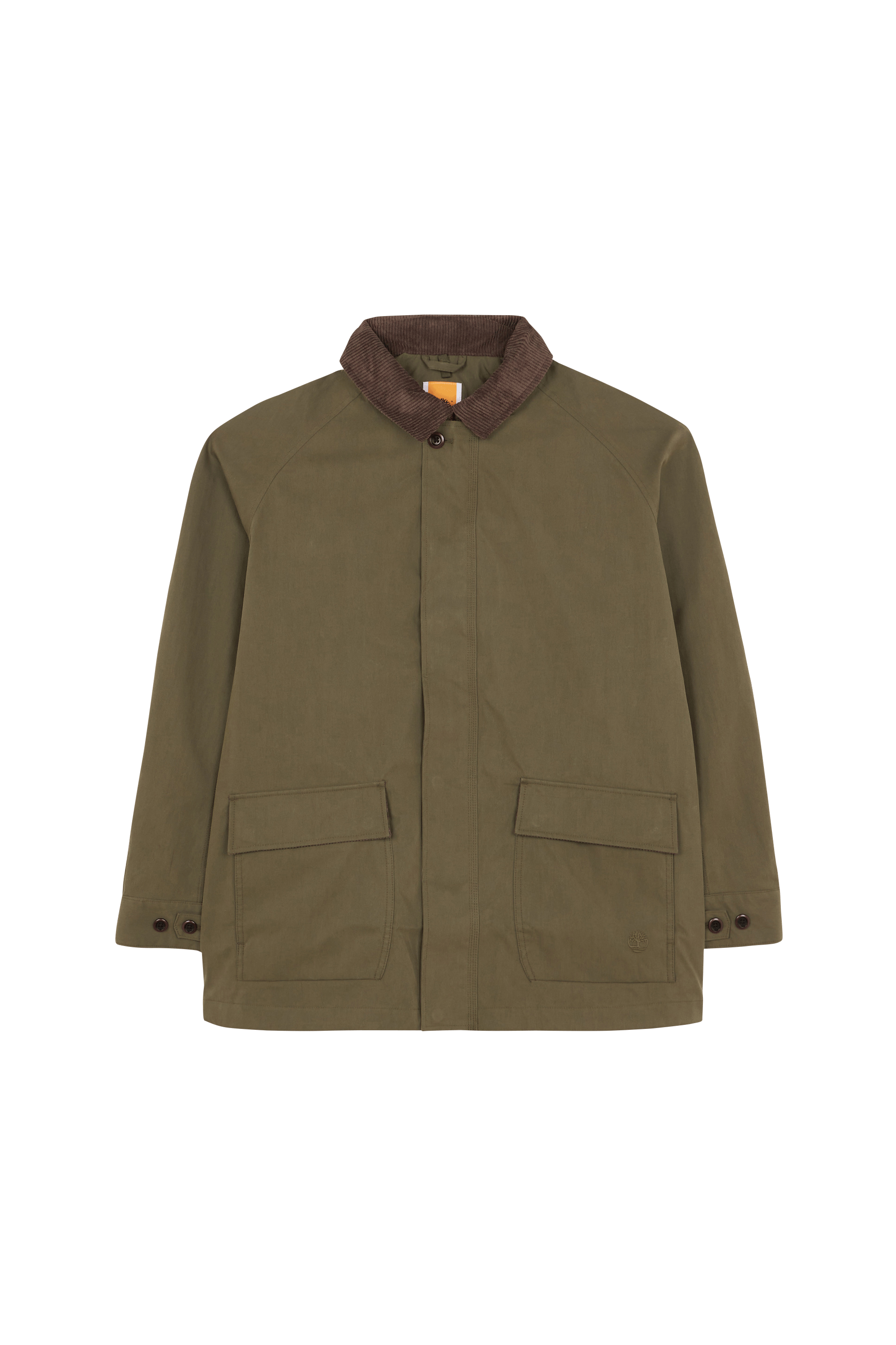 Veste TIMBERLAND Vert