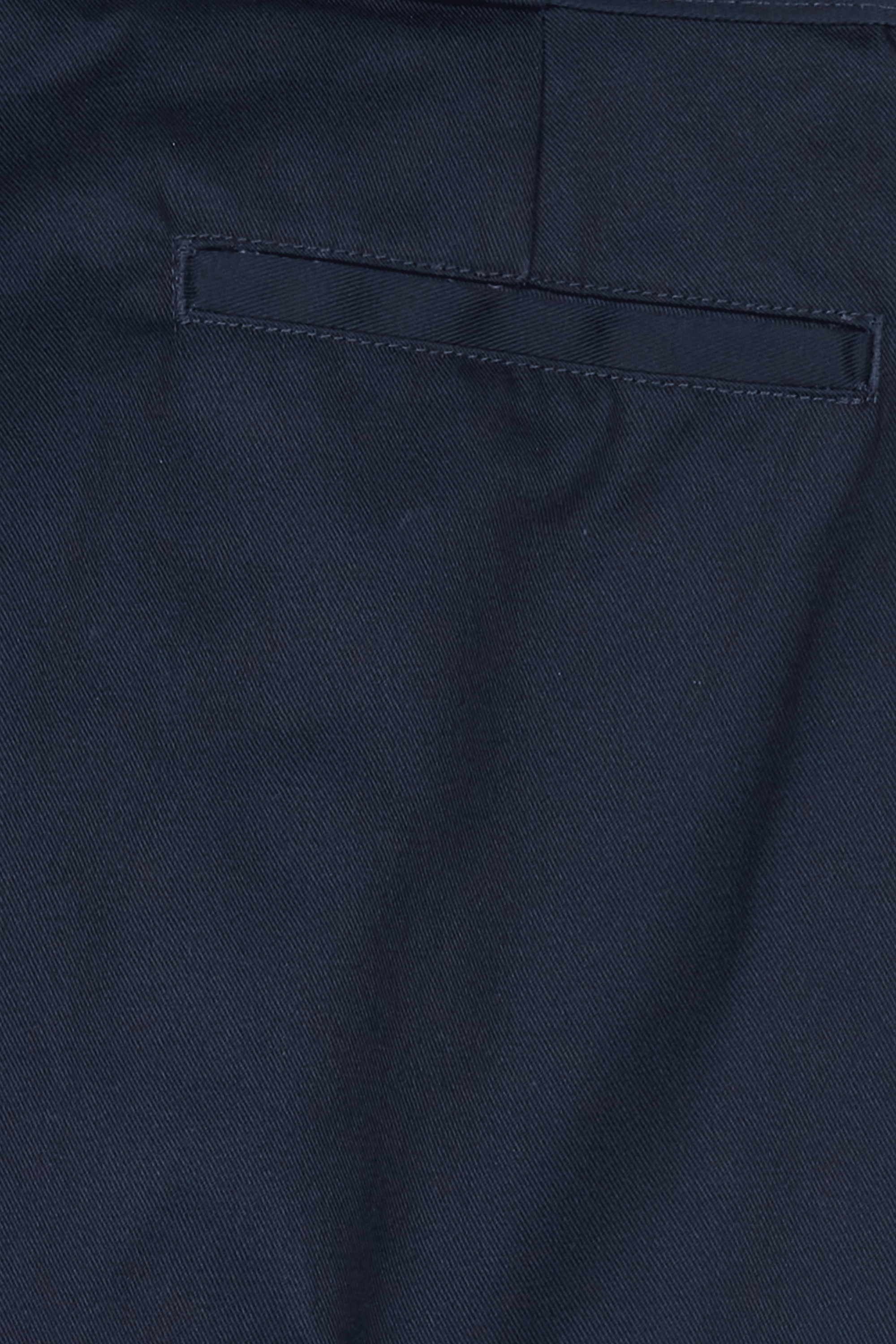 Pantalon | Bleu DICKIES Homme