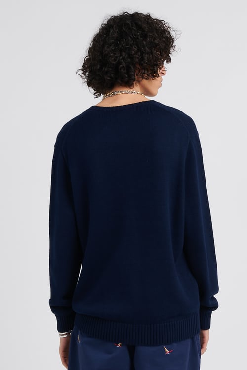 POLO RALPH LAUREN Sweater Blue