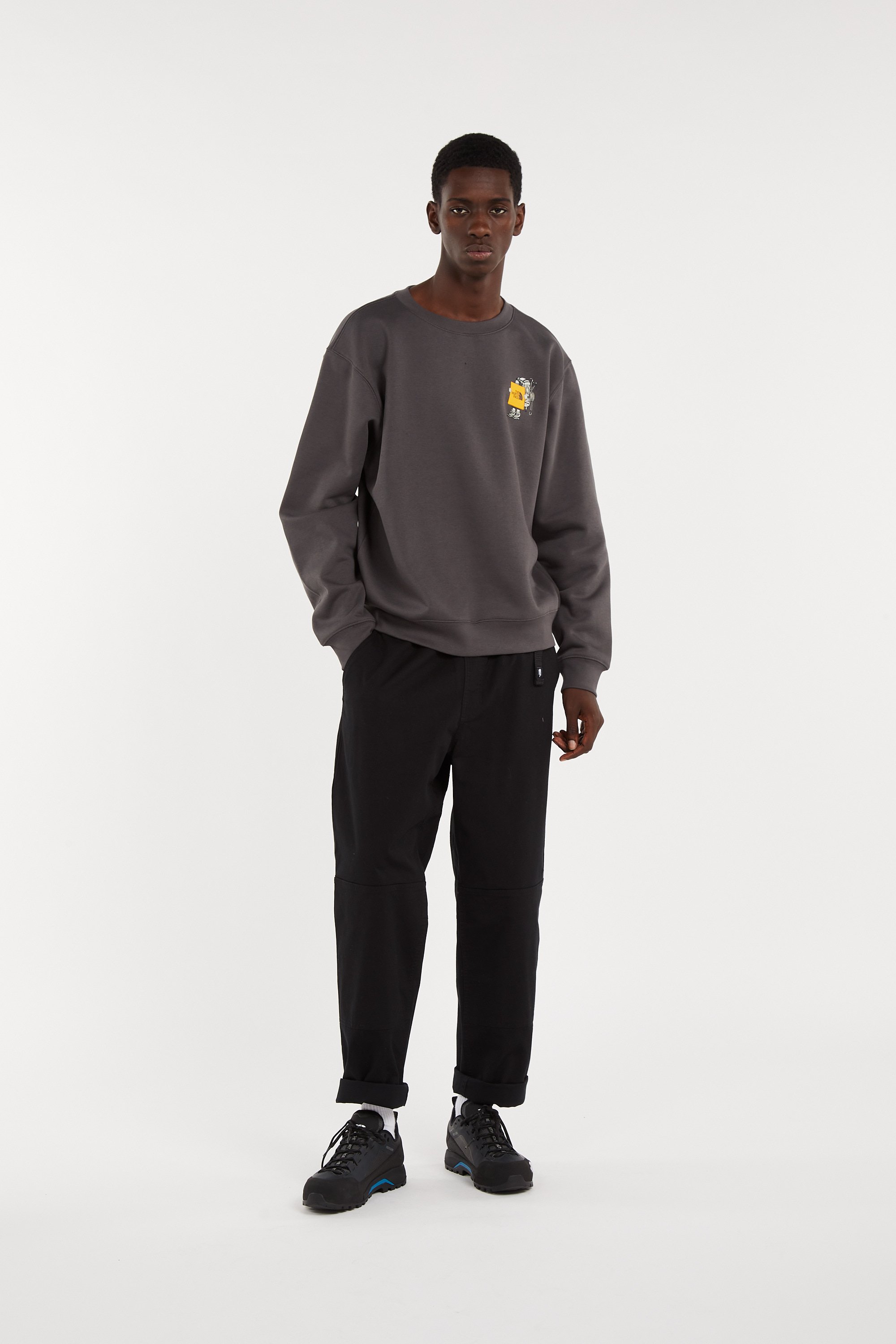 Sweat THE NORTH FACE Gris