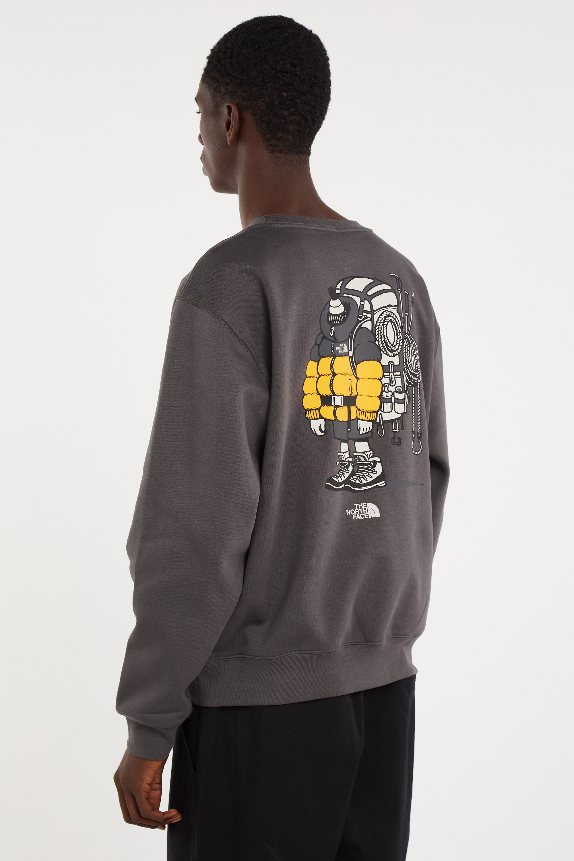 Sweatshirt | Grey THE NORTH FACE Men