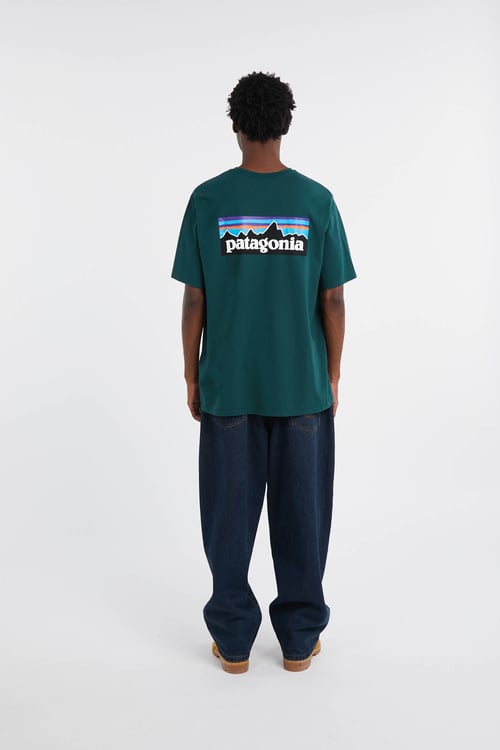PATAGONIA T-shirt  Vert