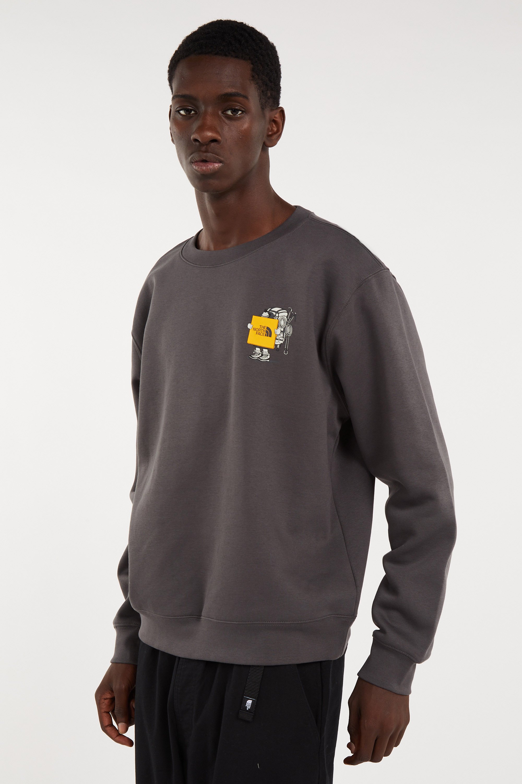 Sweatshirt | Grey THE NORTH FACE Men