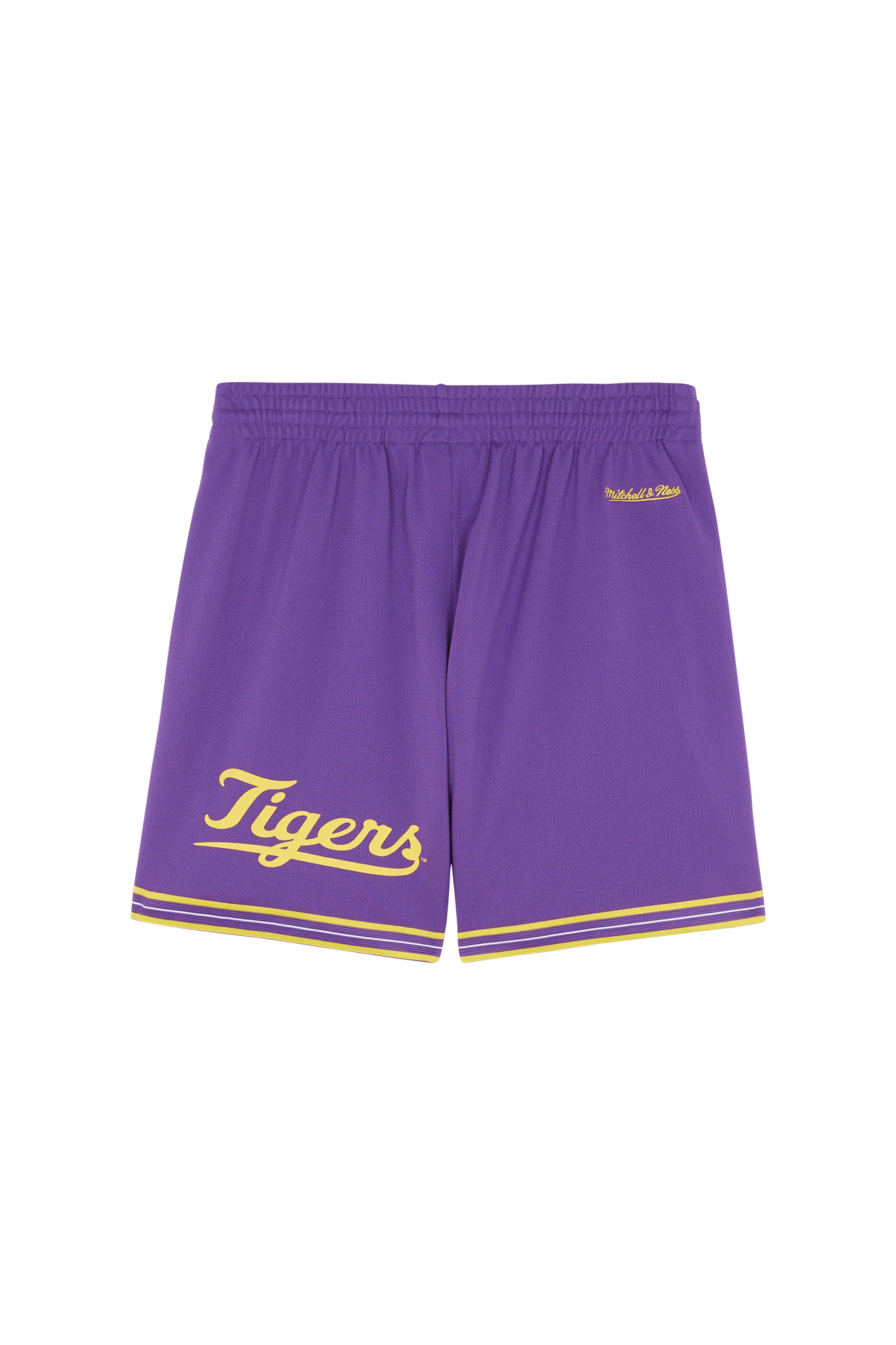 Shorts Purple