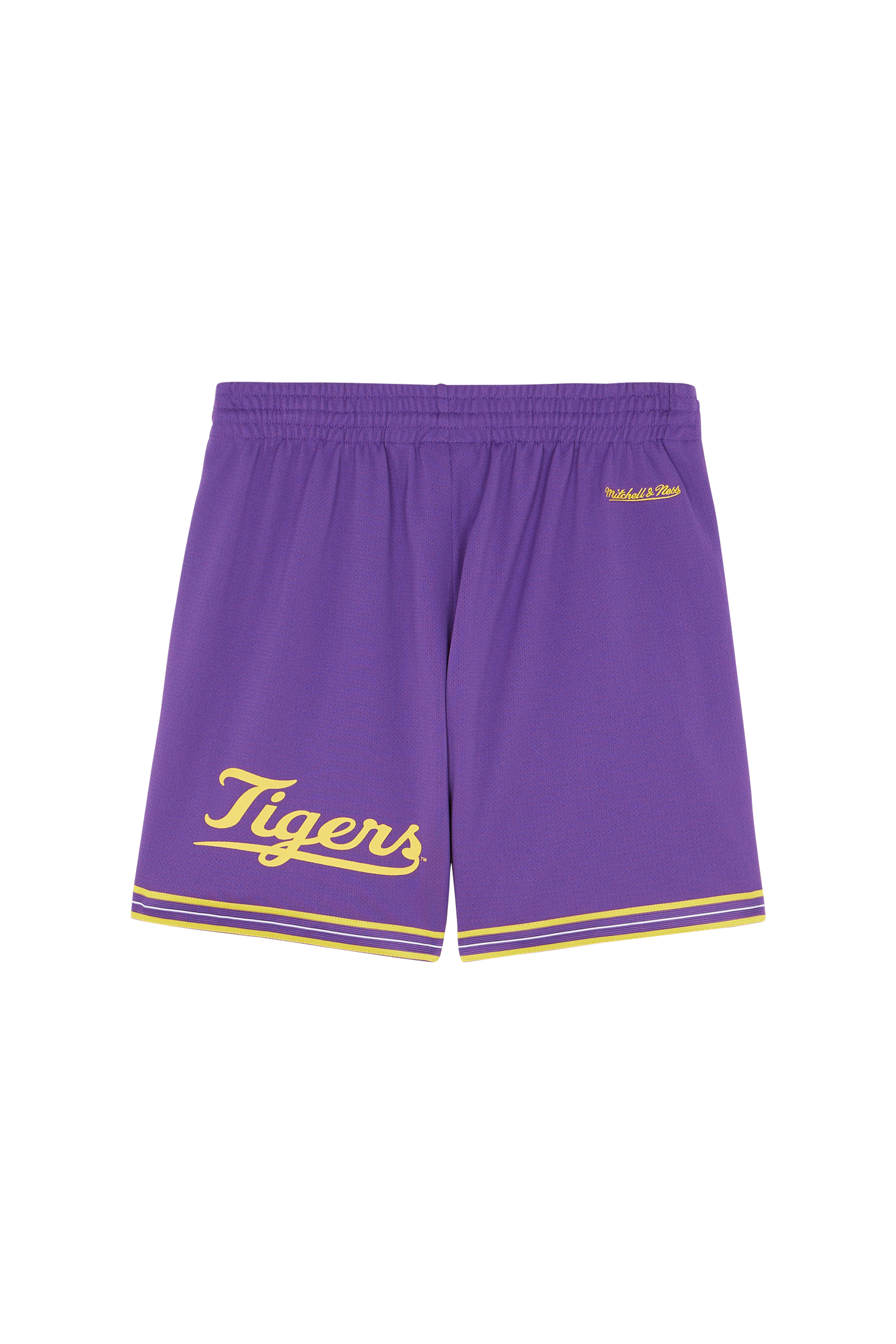 Shorts Purple