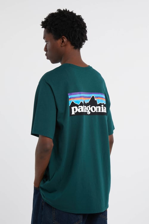 PATAGONIA T-shirt  Vert