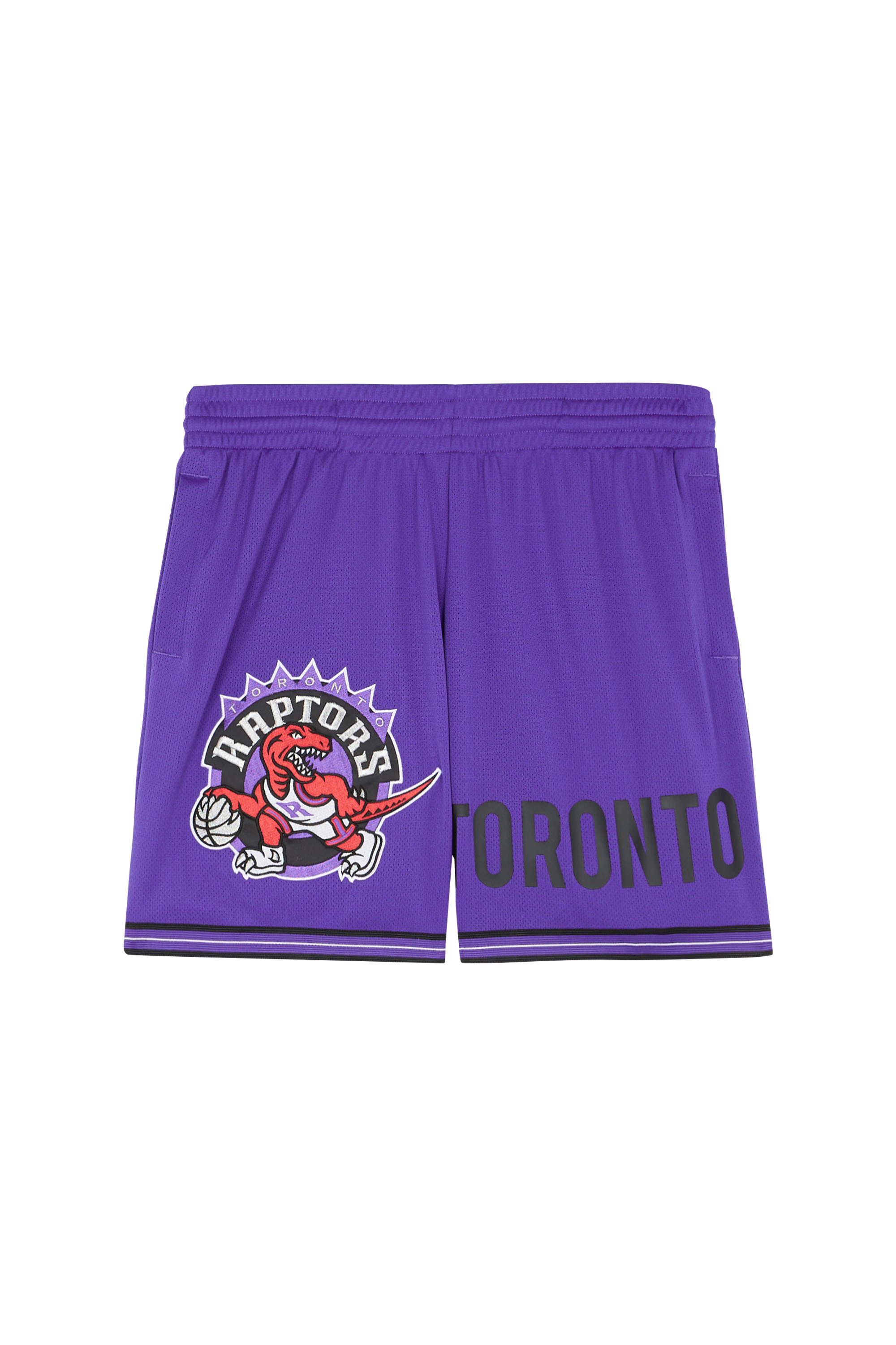 Shorts Purple