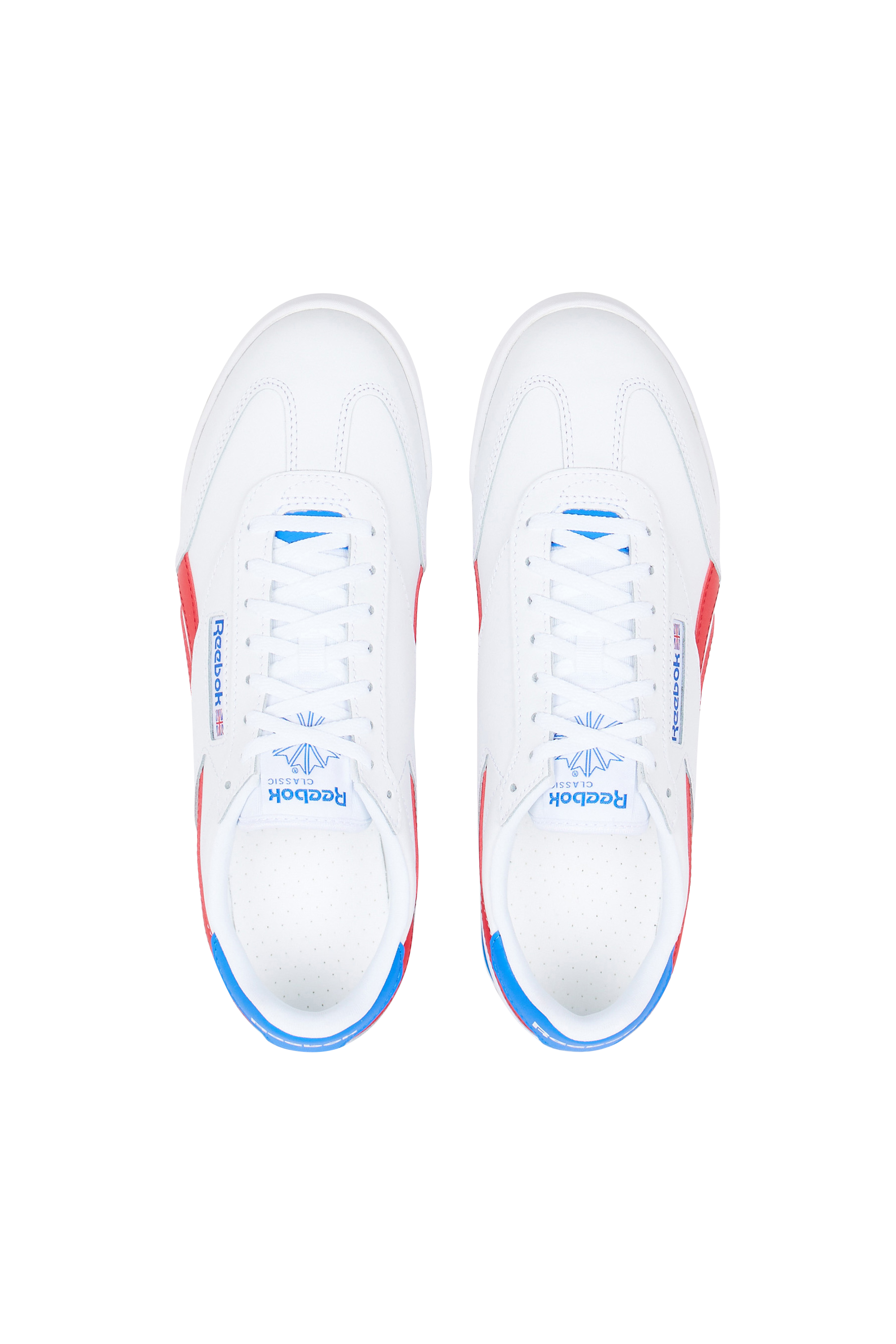 Baskets Multicolore