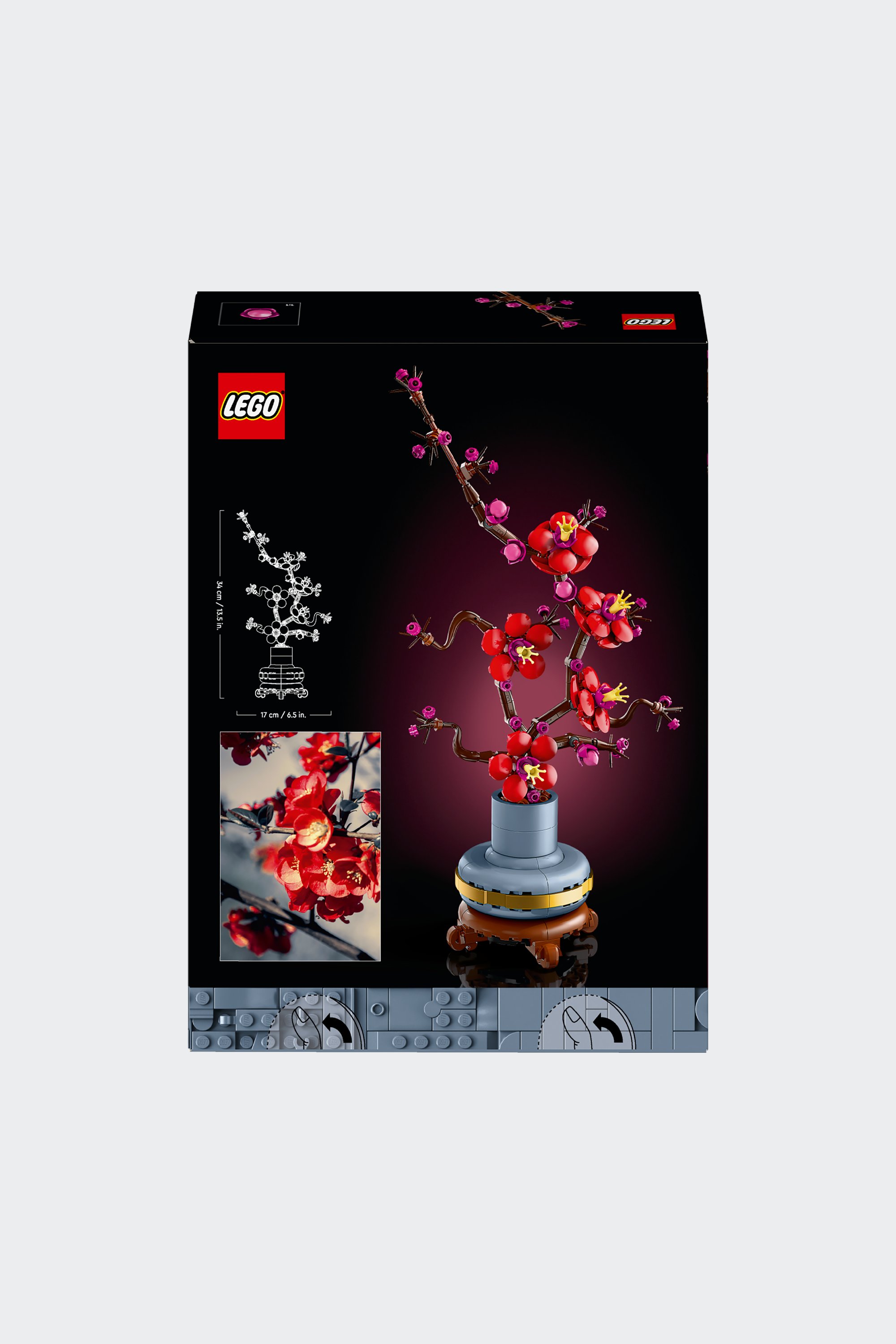 Jeu | Multicolore by LEGO Jeu Multicolore
