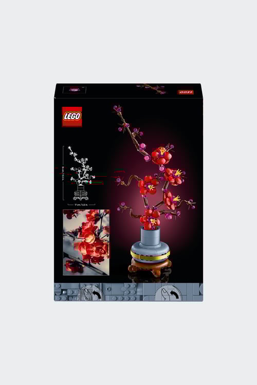 LEGO Jeu Multicolore