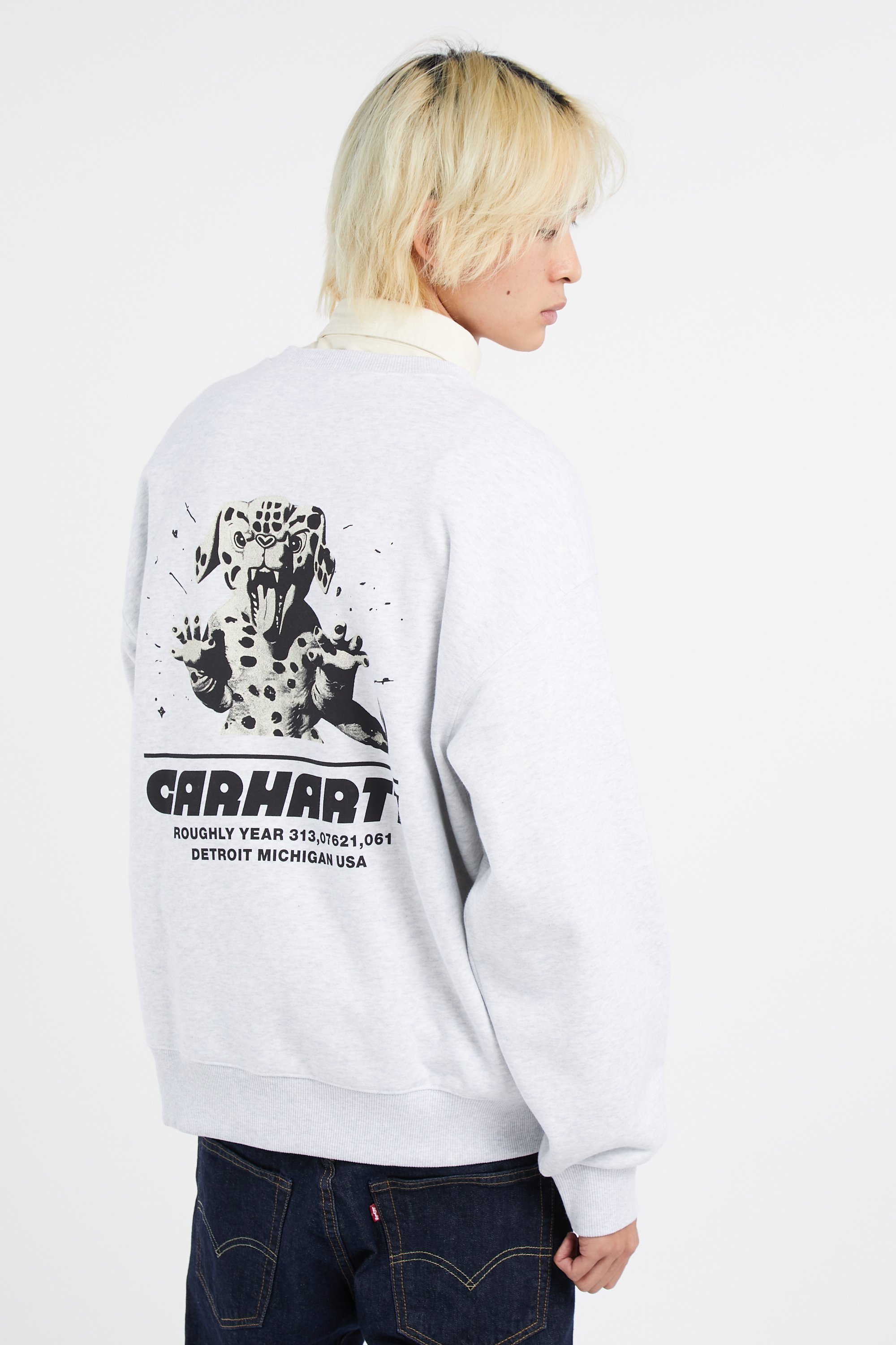 Sweatshirt Gris