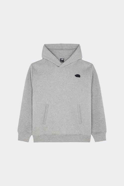THE NORTH FACE Hoodie Gris