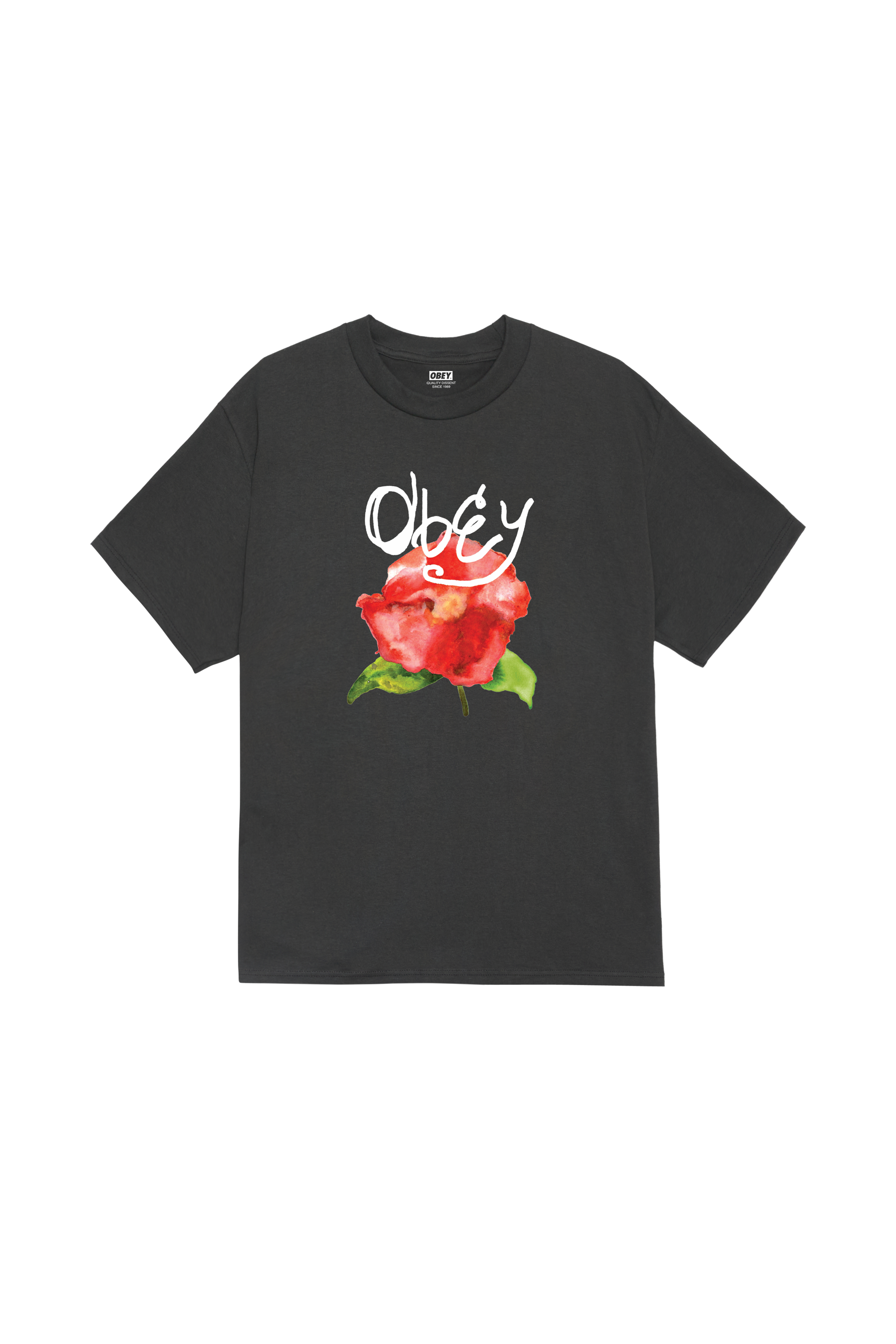 Regular-fit round-neck cotton T-shirt  Black