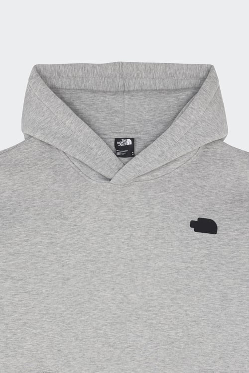 THE NORTH FACE Hoodie Gris