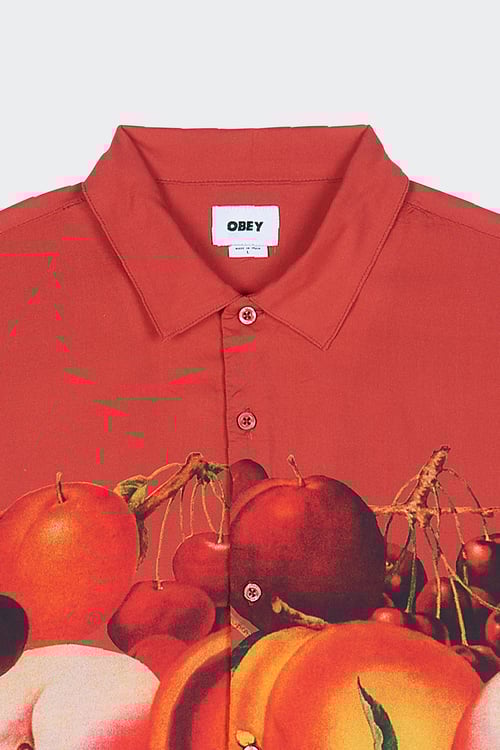 OBEY Chemise Orange