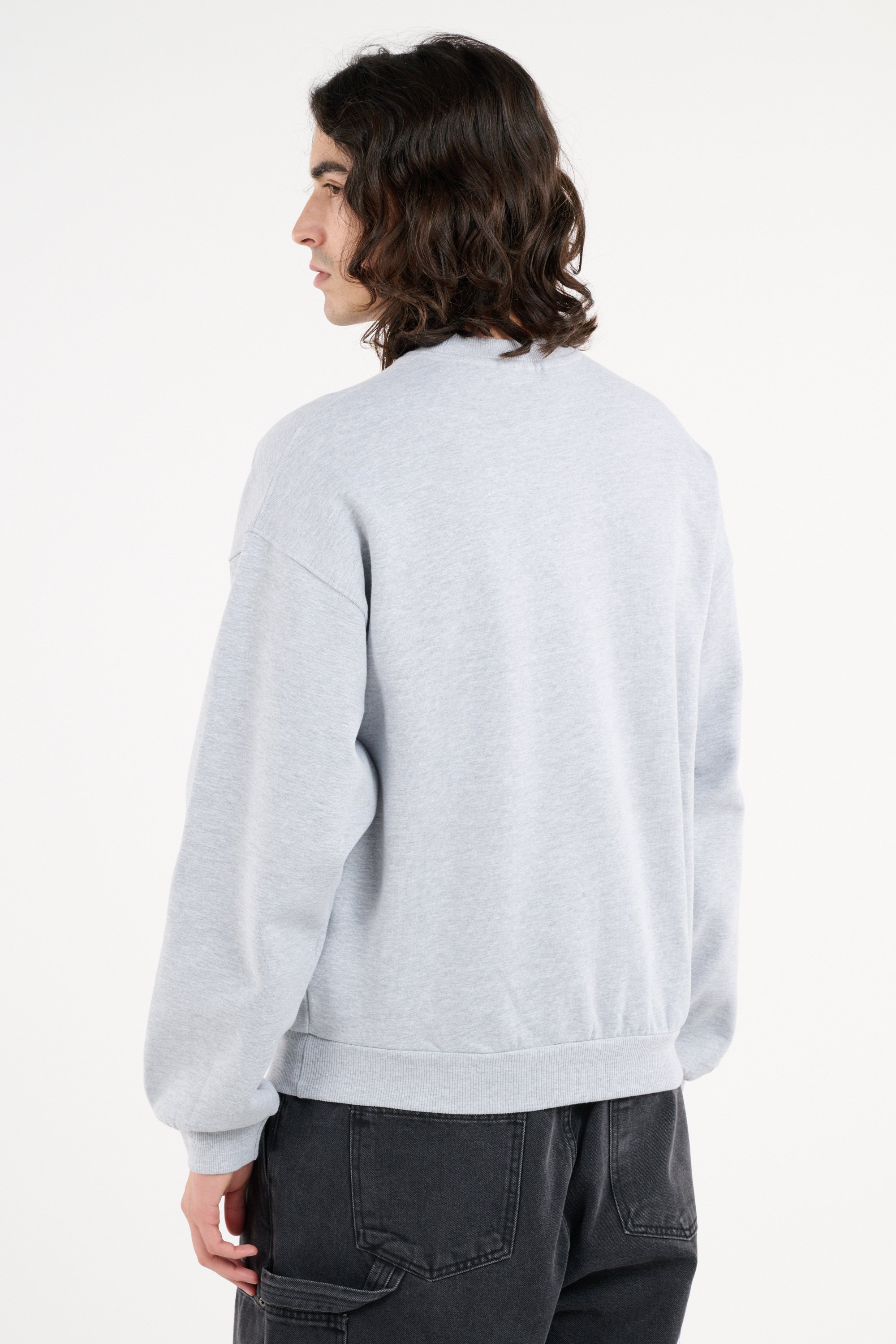 Sweatshirt Gris