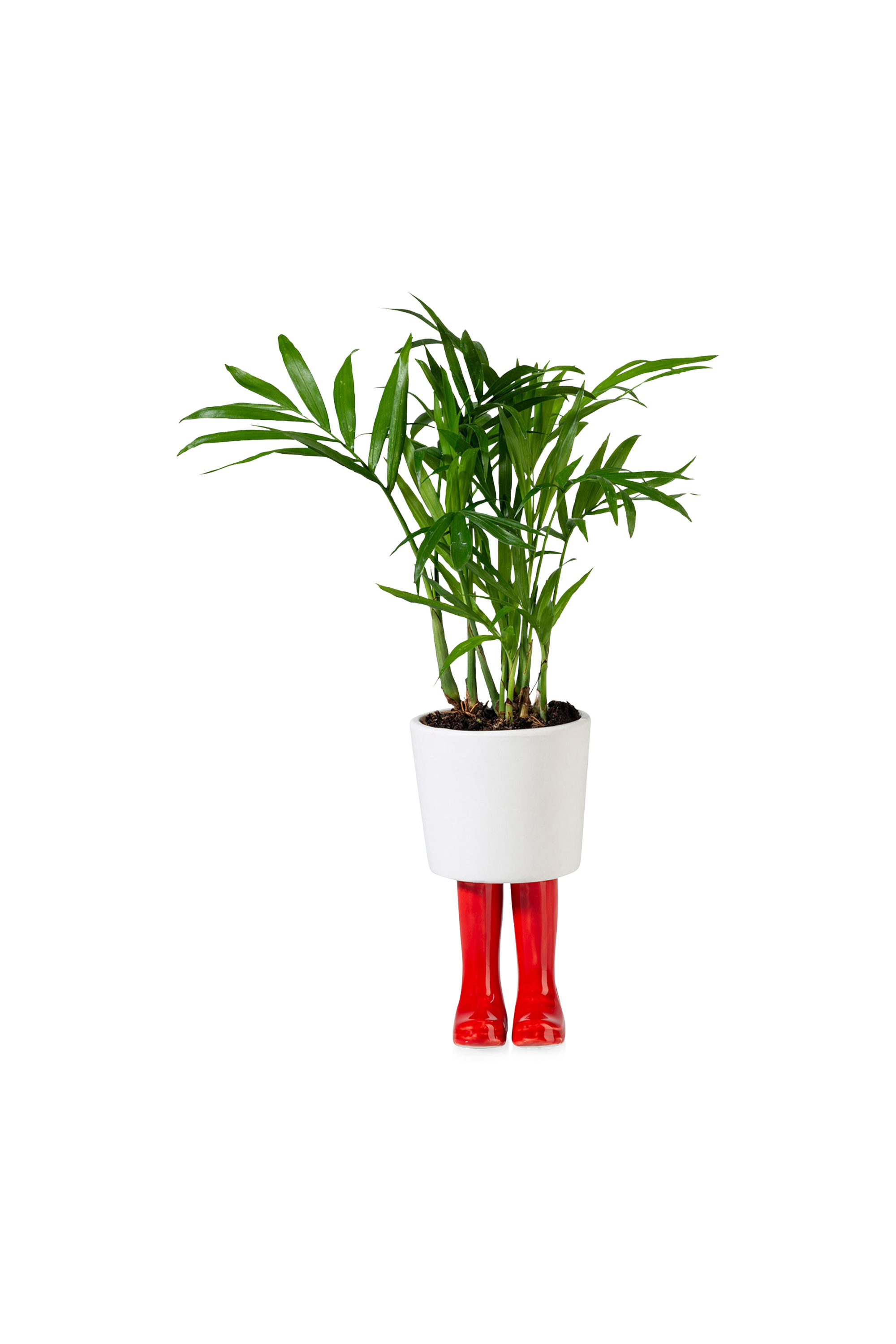 Cache-pot BITTEN Rouge