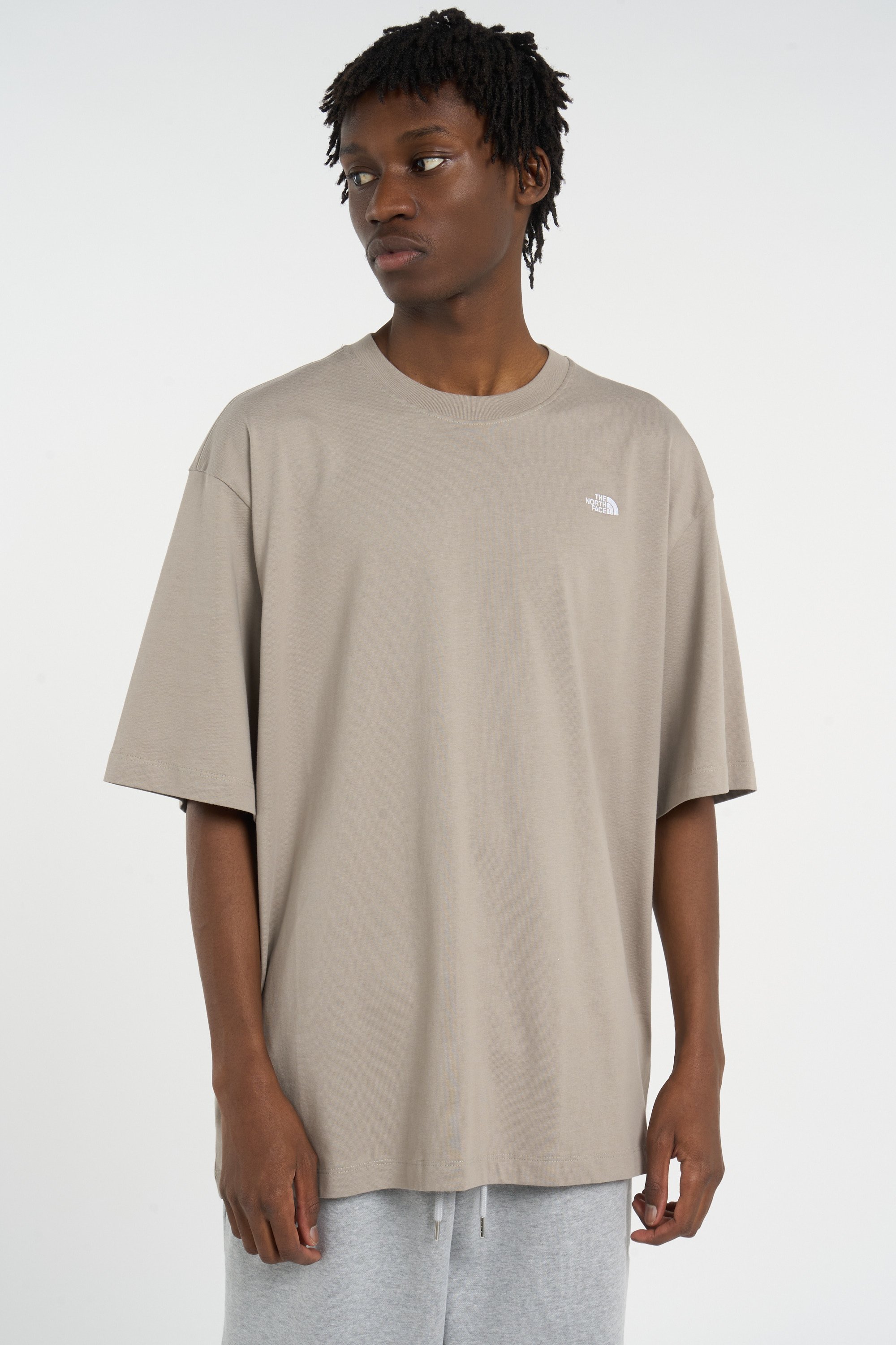 T-shirt | Gris THE NORTH FACE Homme