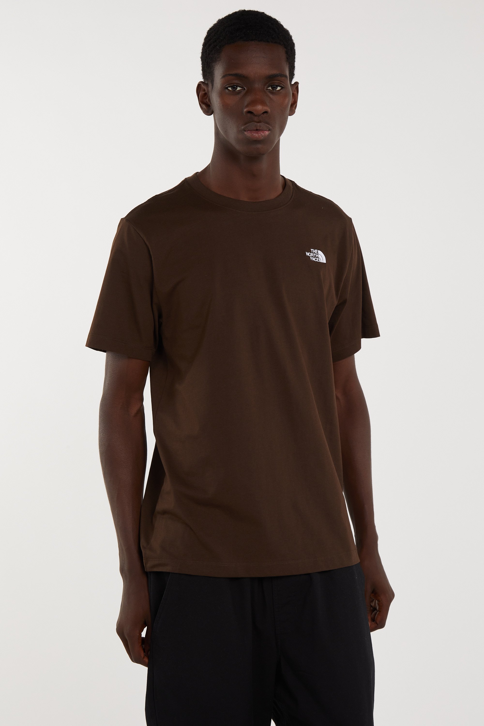 T-shirt | Marron THE NORTH FACE Homme