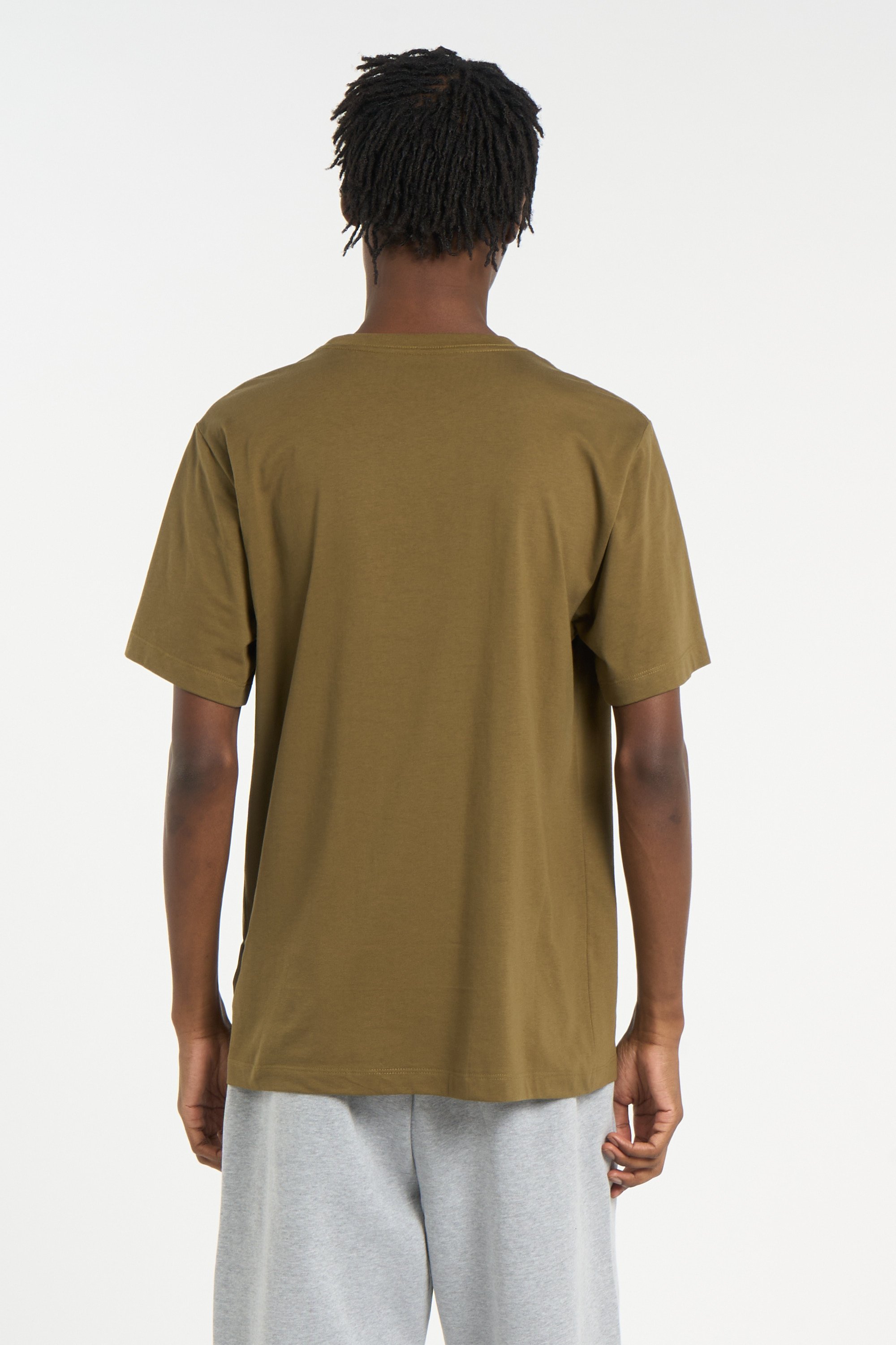 T-shirt | Marron THE NORTH FACE Homme