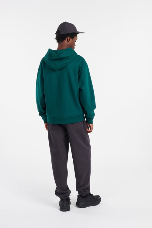 THE NORTH FACE Hoodie Vert