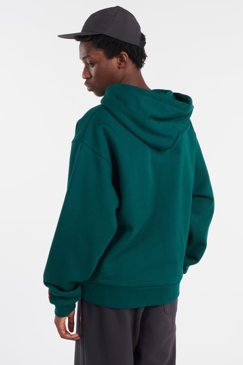 THE NORTH FACE Hoodie Vert